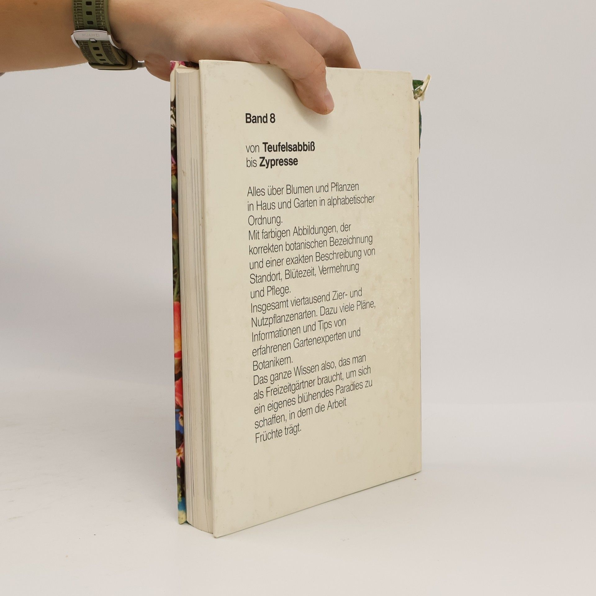Autorenkollektiv Blumen & Garten 8. Das praktische Pflanzen-ABC