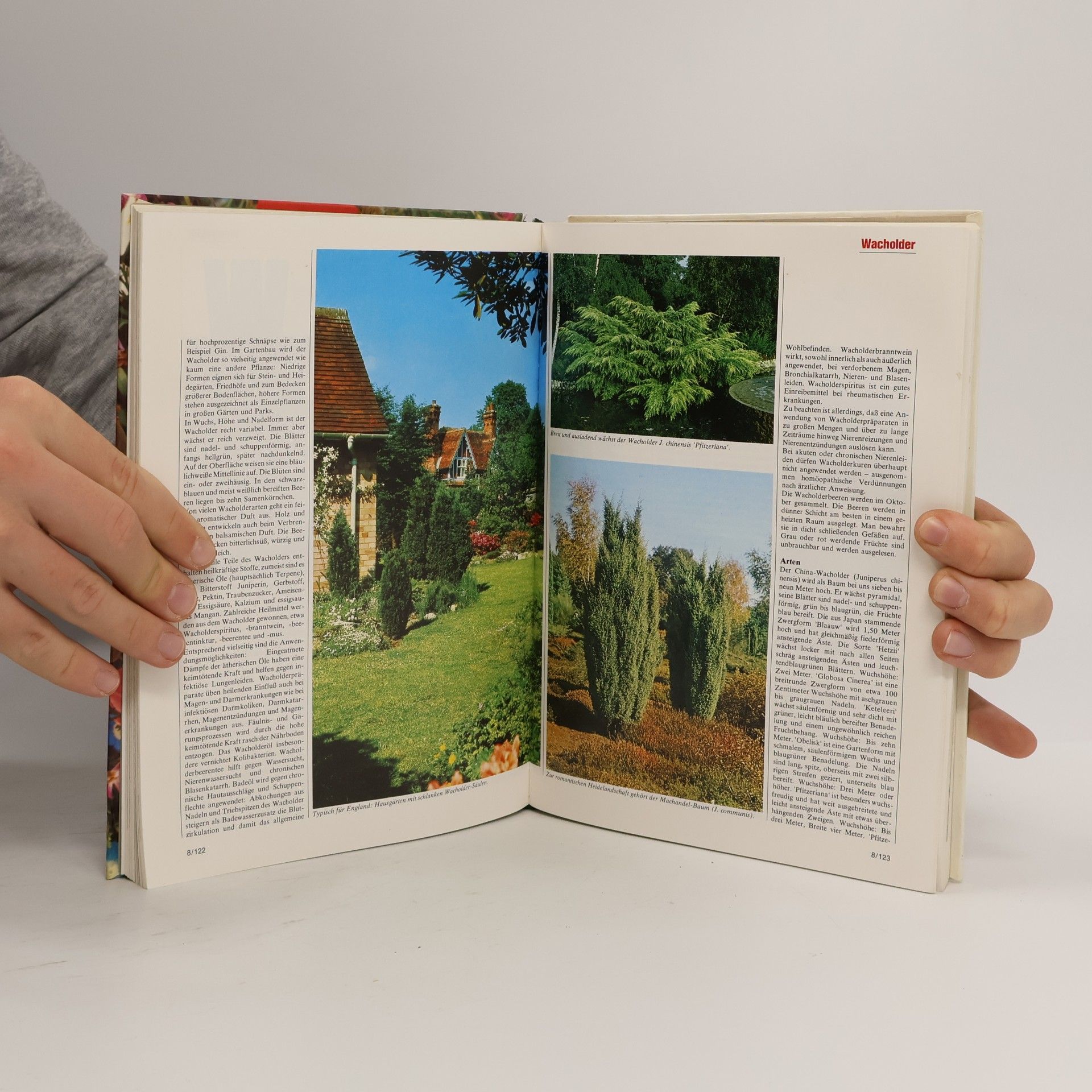Autorenkollektiv Blumen & Garten 8. Das praktische Pflanzen-ABC