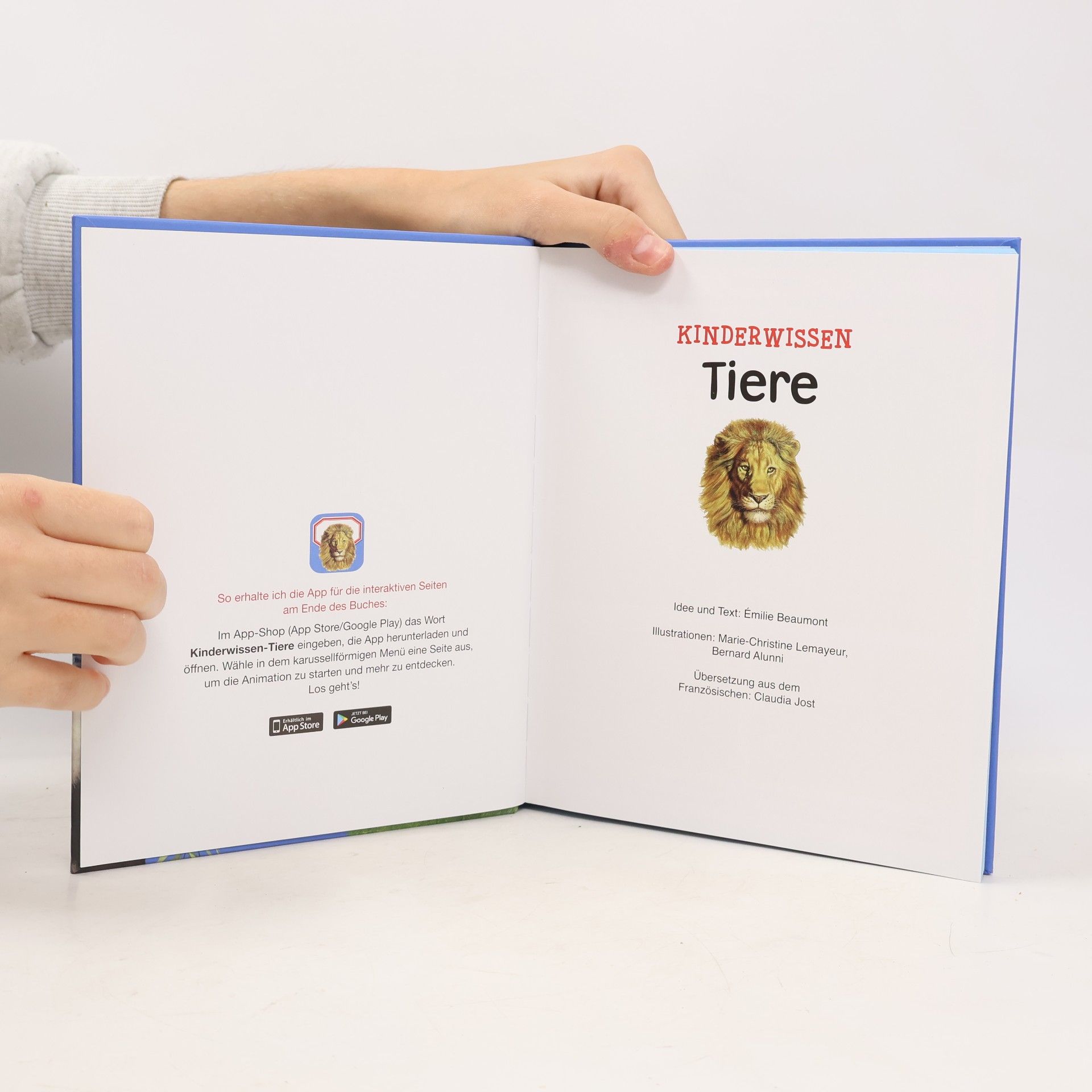 Autorenkollektiv Kinderwissen. Tiere