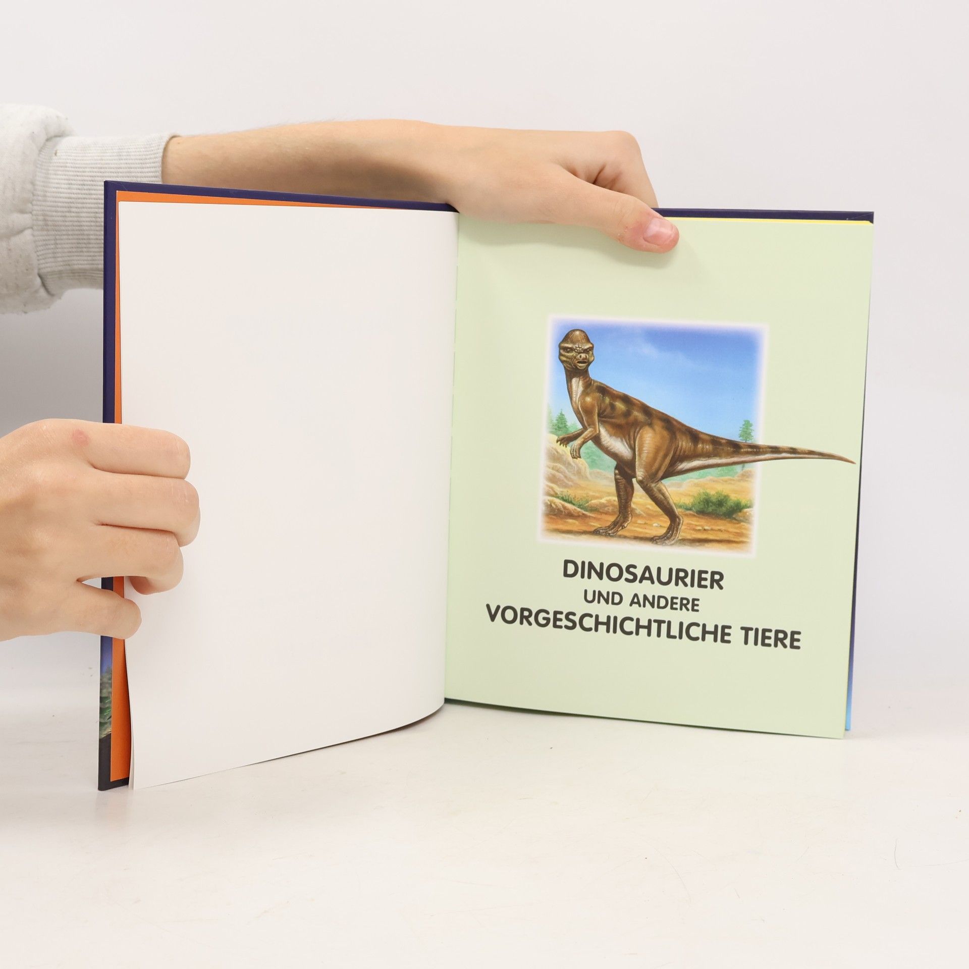 Autorenkollektiv Kinderwissen Dinosaurier und Vorgeschichte