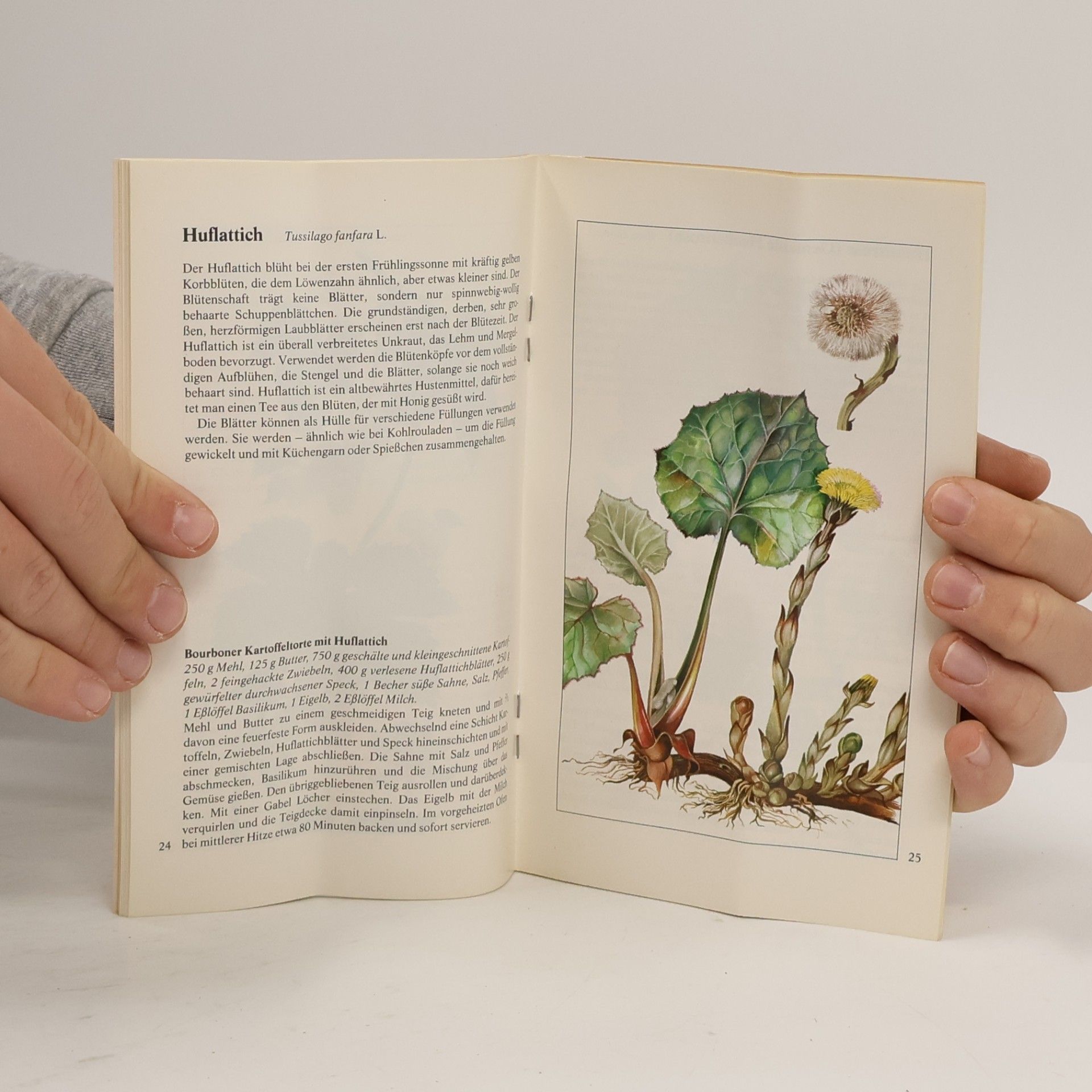 Various authors Heilkräuter von A-Z