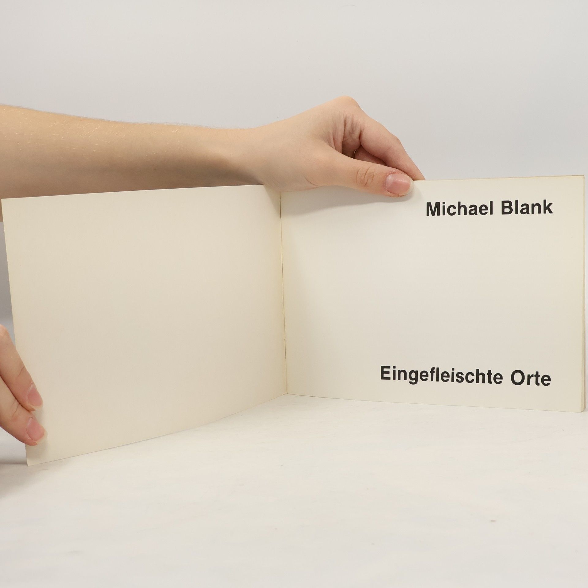 Michael Blank Eingefleischte Orte