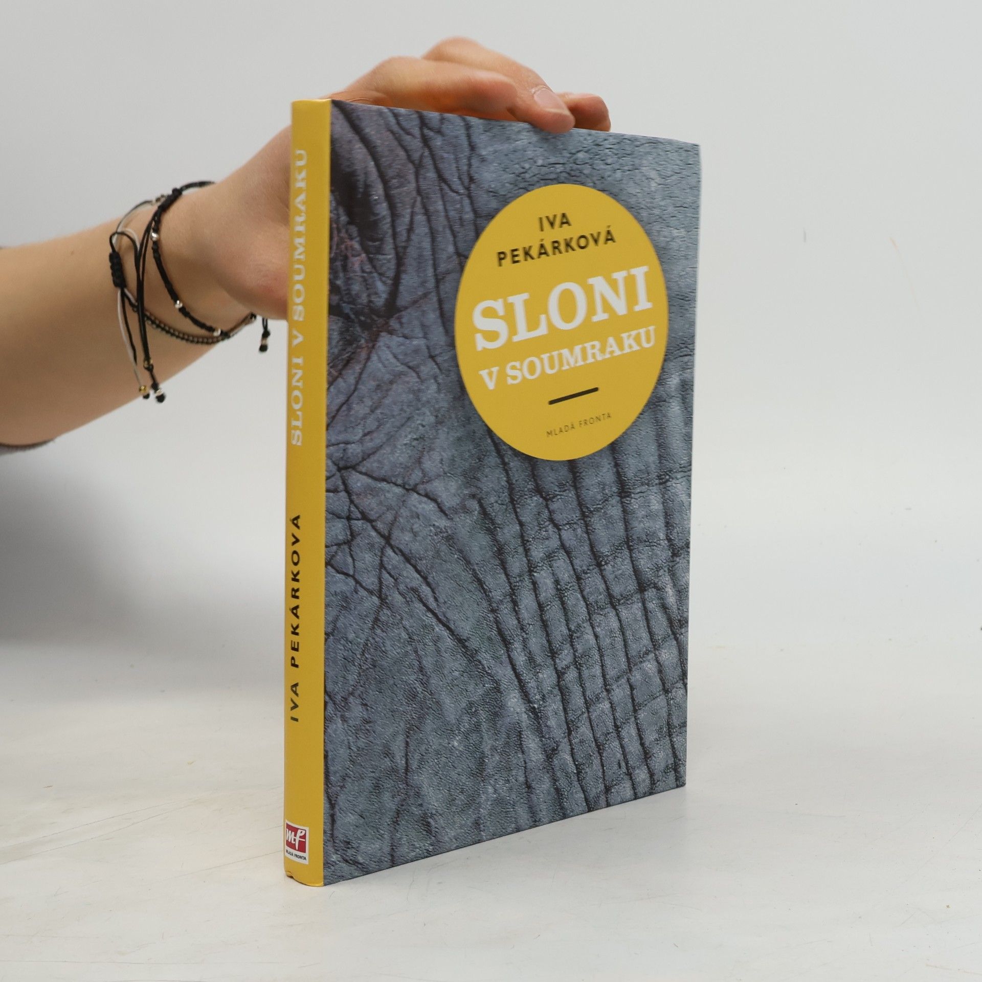Sloni v soumraku