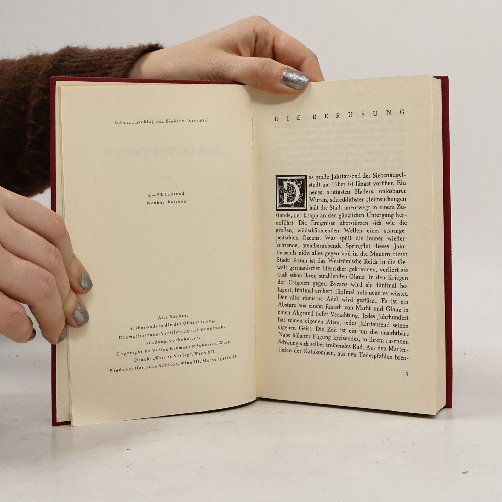 Max Stebich Der letzte tribun
