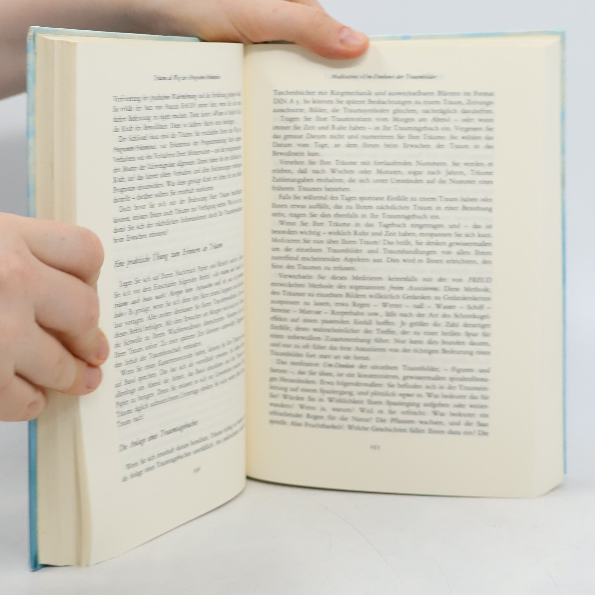 Friedrich W. Doucet Das große Buch der Traumdeutung
