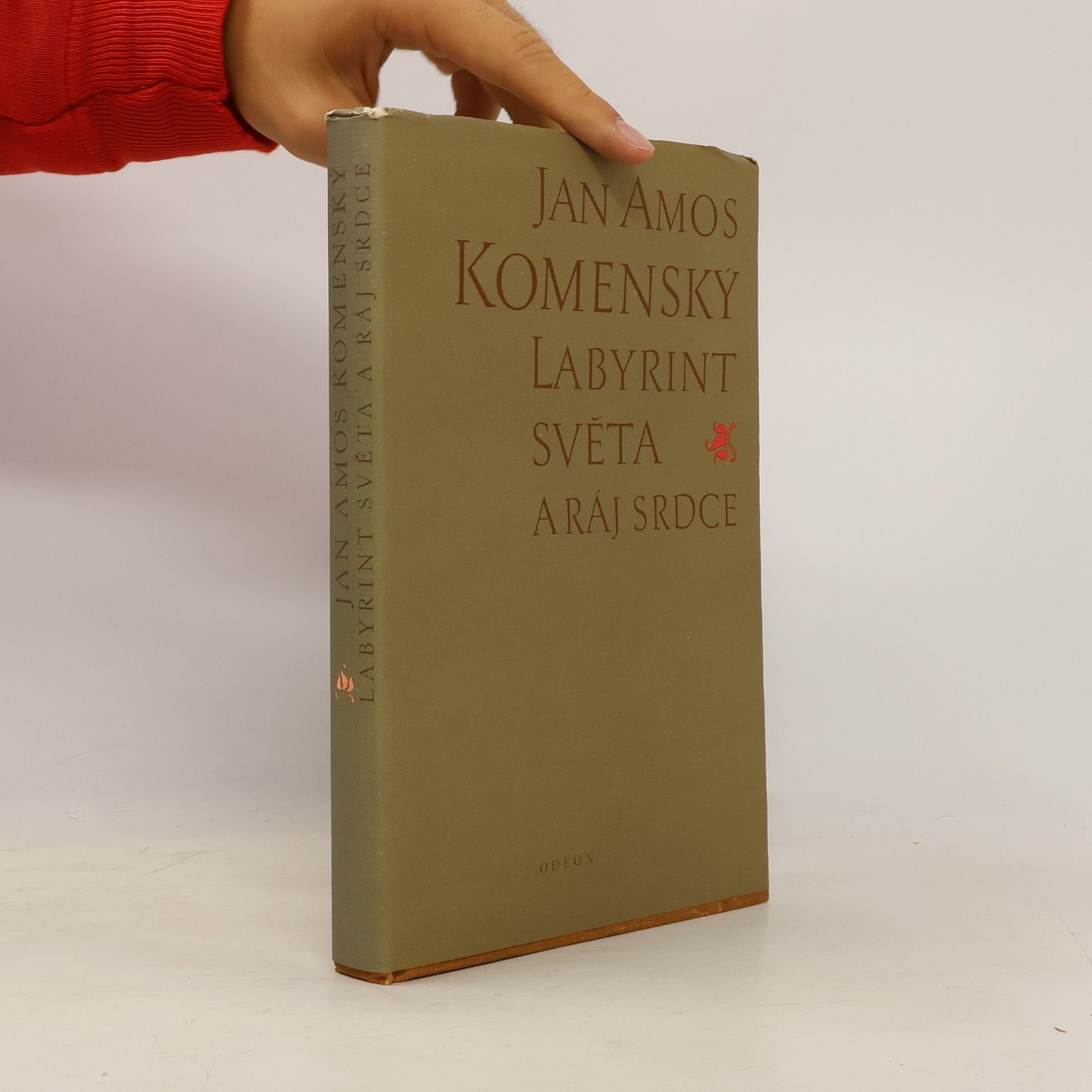 John Amos Comenius Labyrint světa a ráj srdce
