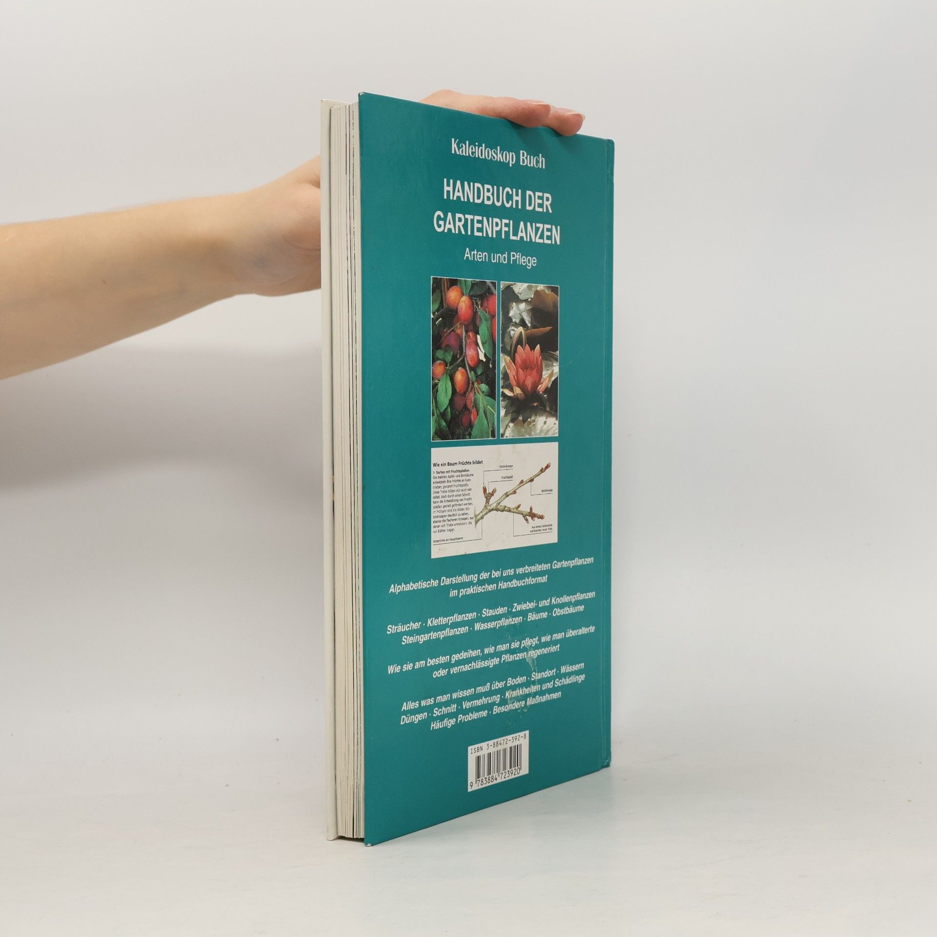 Stefan Buczacki Handbuch der Gartenpflanzen