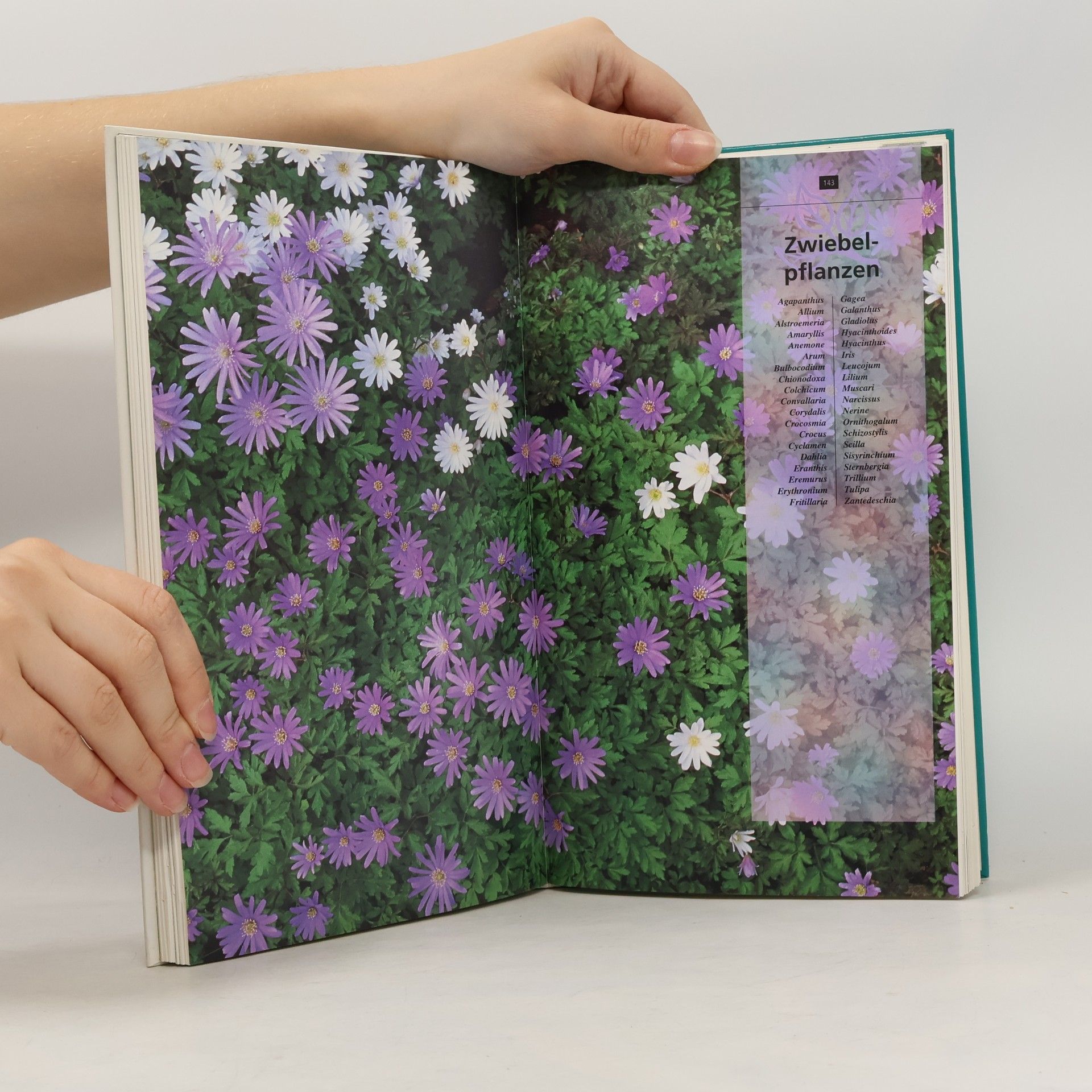 Stefan Buczacki Handbuch der Gartenpflanzen