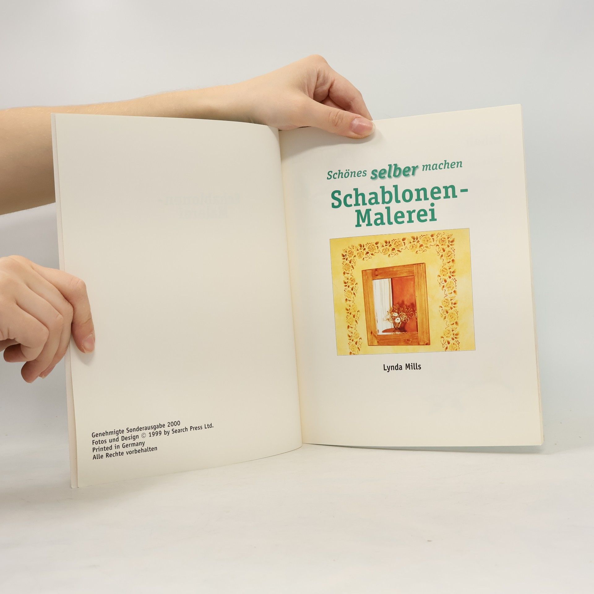 Lynda Mills Schablonen-Malerei