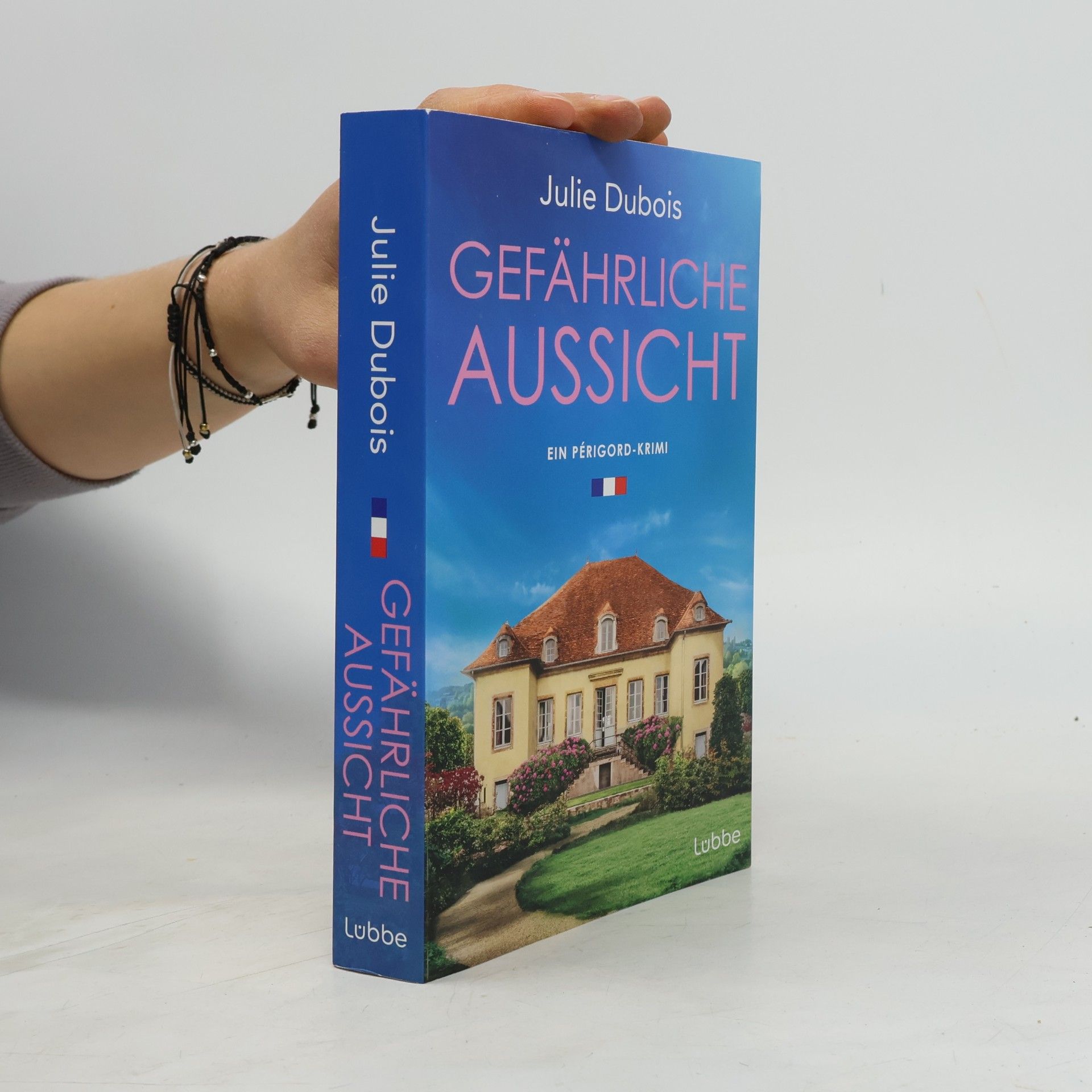 Julie Dubois Gefährliche Aussicht