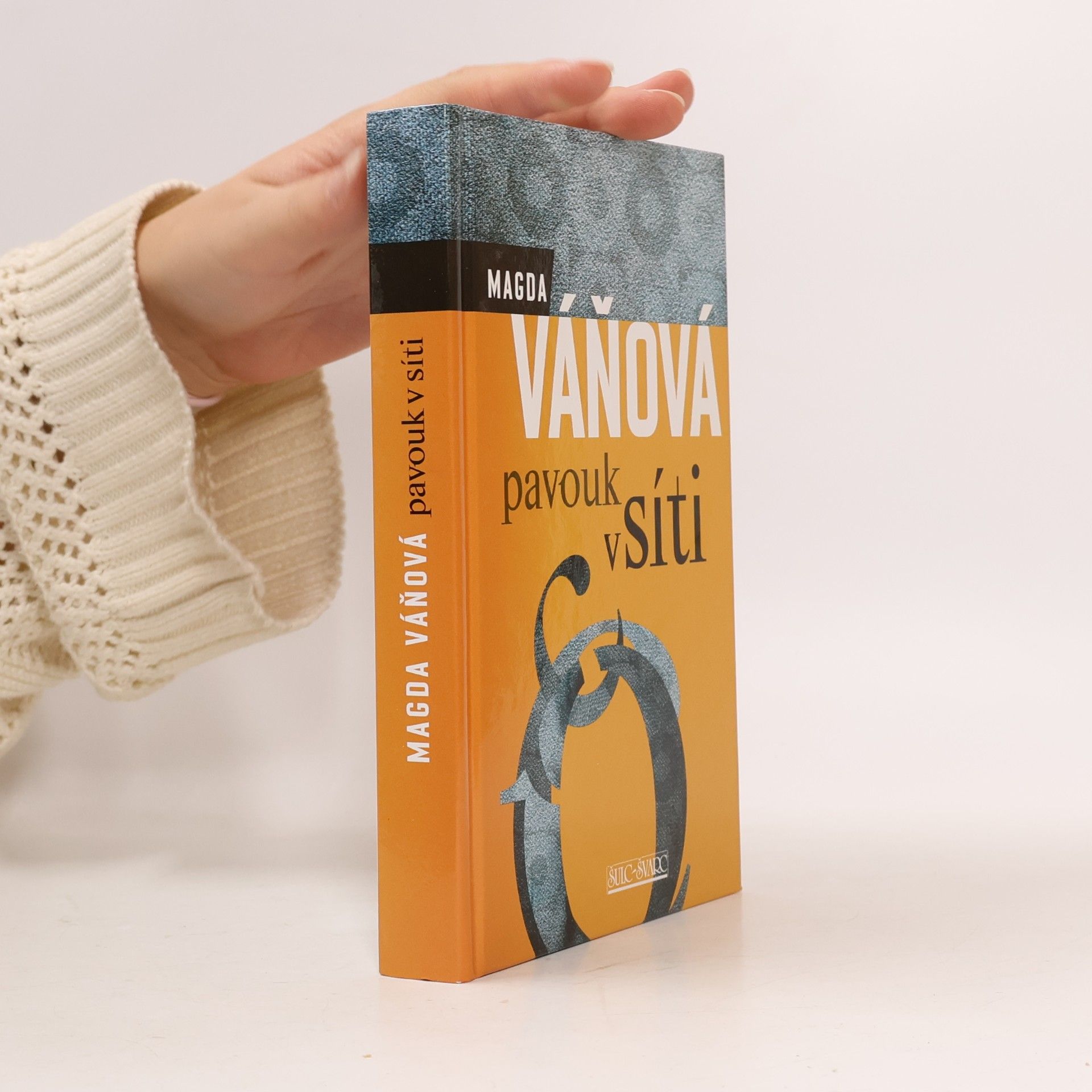 Pavouk v síti