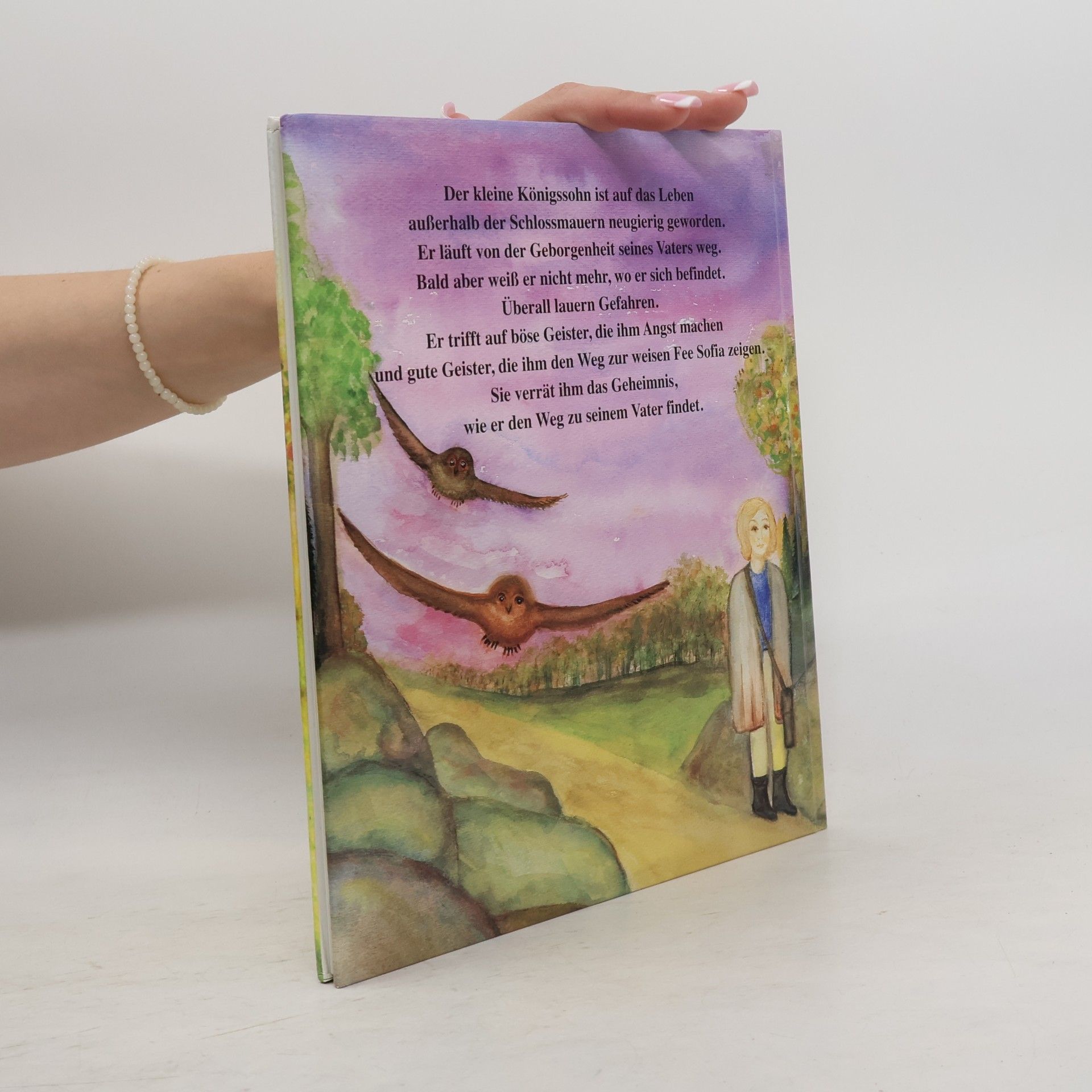 Margarete Lasinger Bibliothek ohne Filter: Der kleine Königssohn und die gute Fee