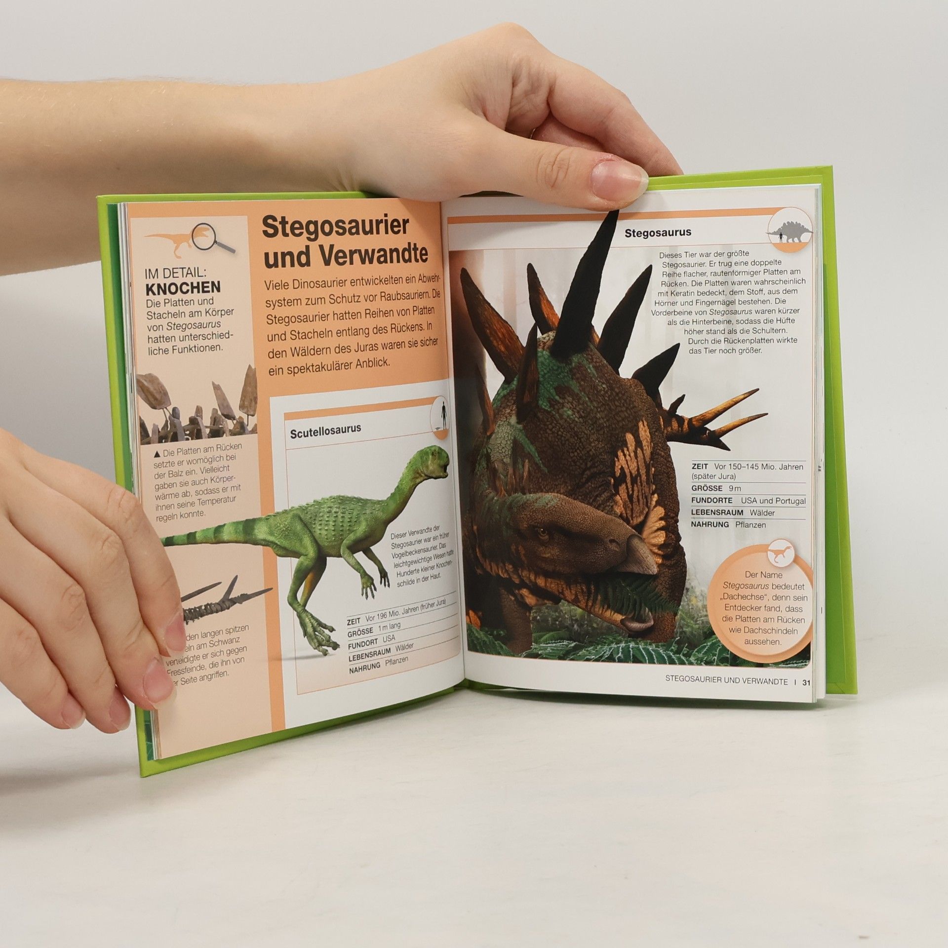 AA.VV. Dinosaurier