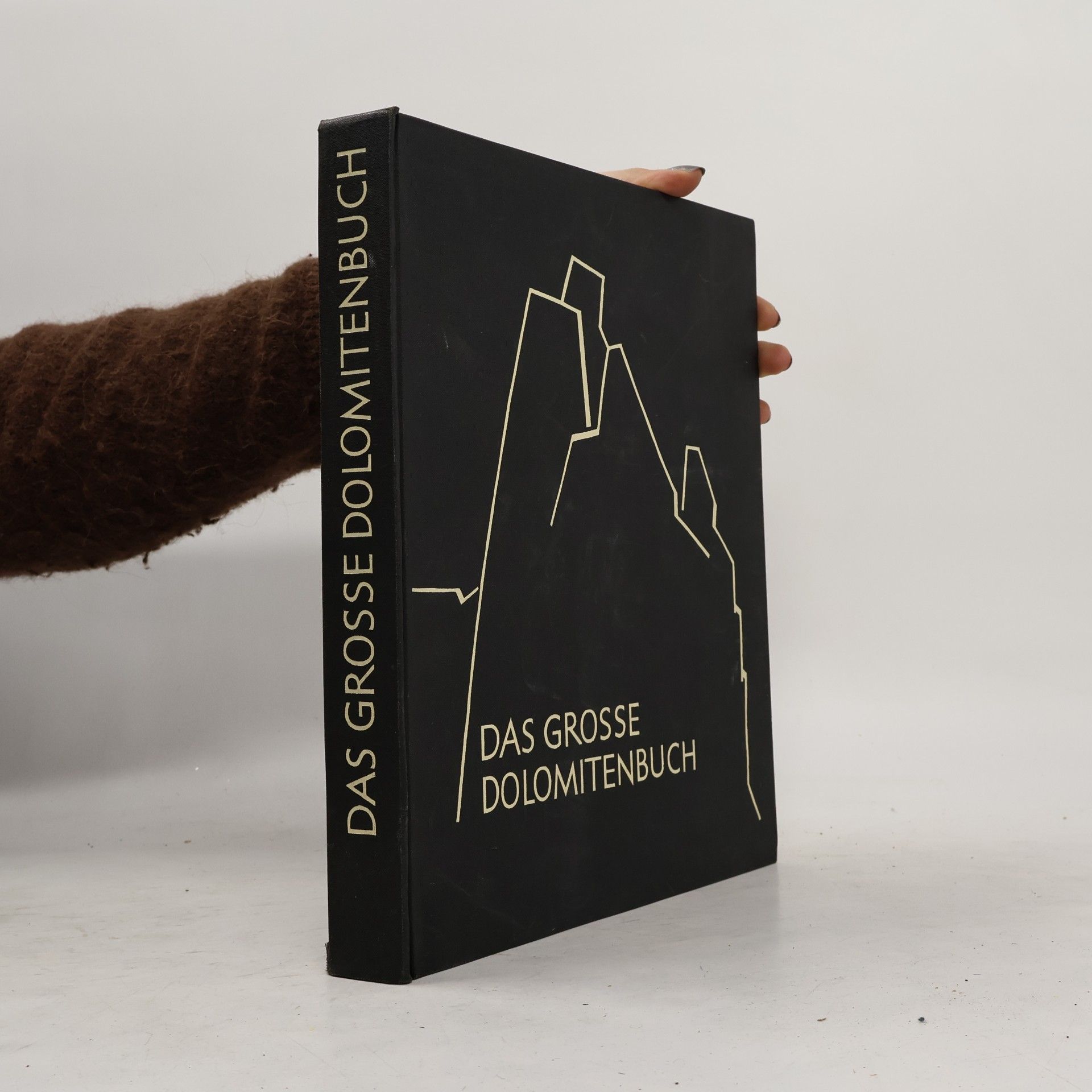 Das Grosse Dolomitenbuch