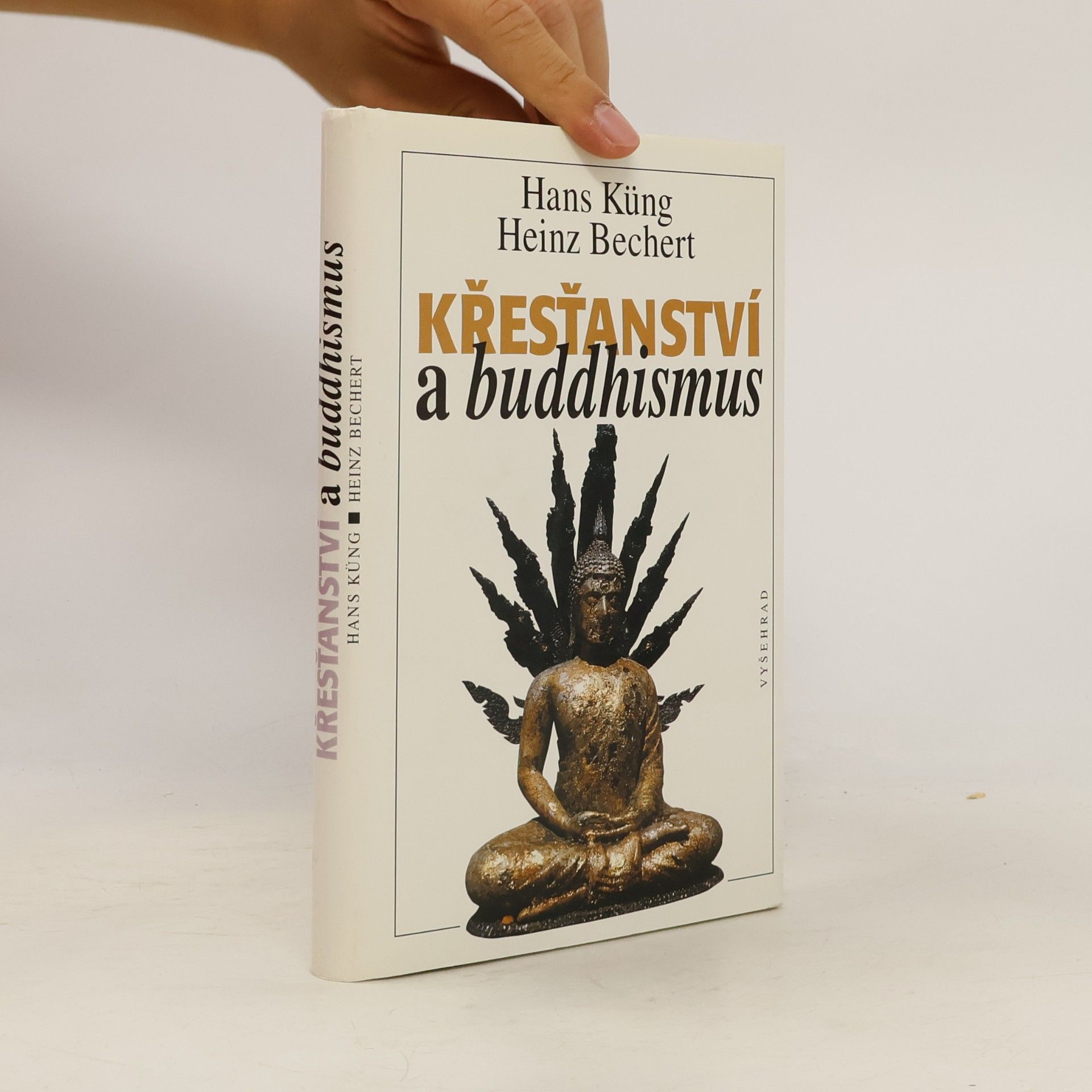 Křesťanství a buddhismus. Na cestě k dialogu