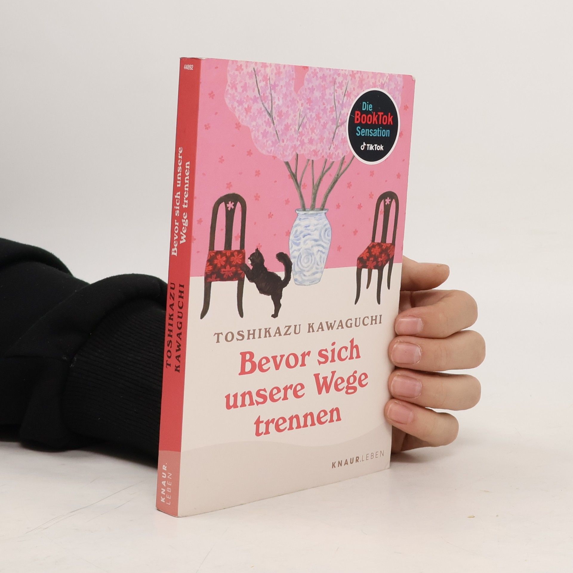 Toshikazu Kawaguchi Bevor sich unsere Wege trennen