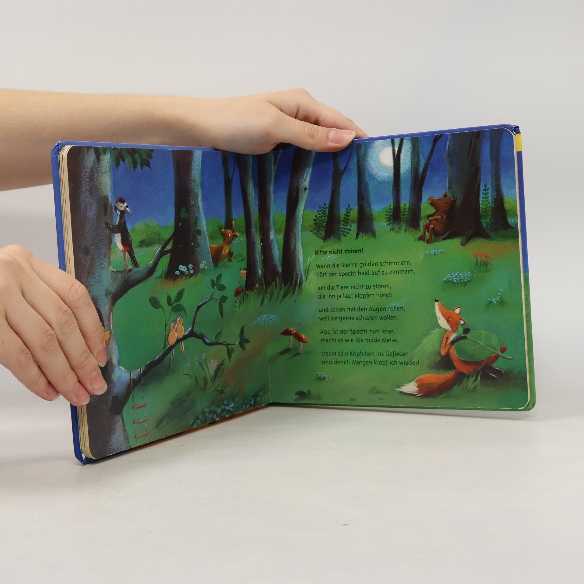 Various authors Gute-Nacht-Reime für Kleine