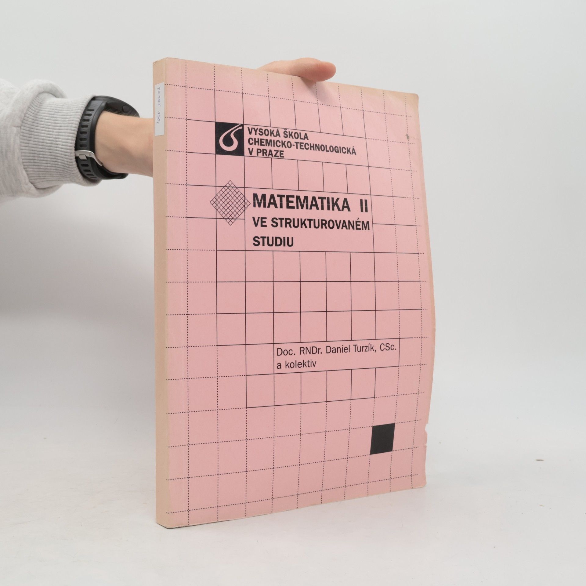 Daniel Turzík Matematika II ve strukturovaném studiu