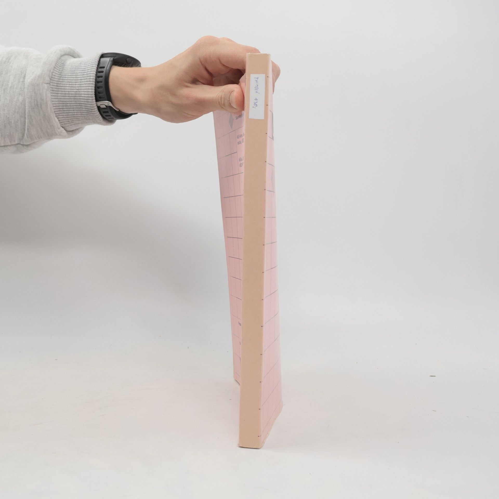 Daniel Turzík Matematika II ve strukturovaném studiu