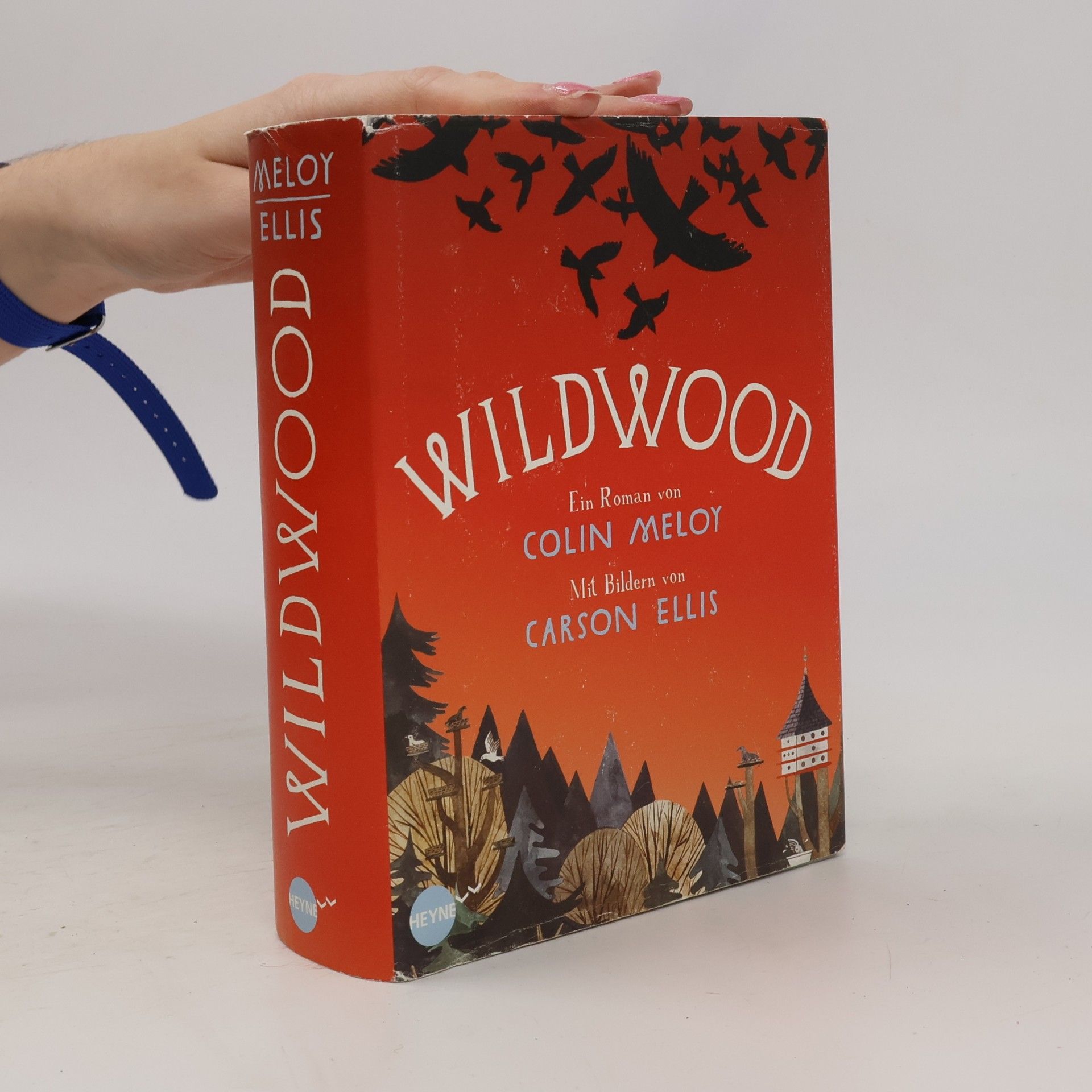 Colin Meloy Wildwood