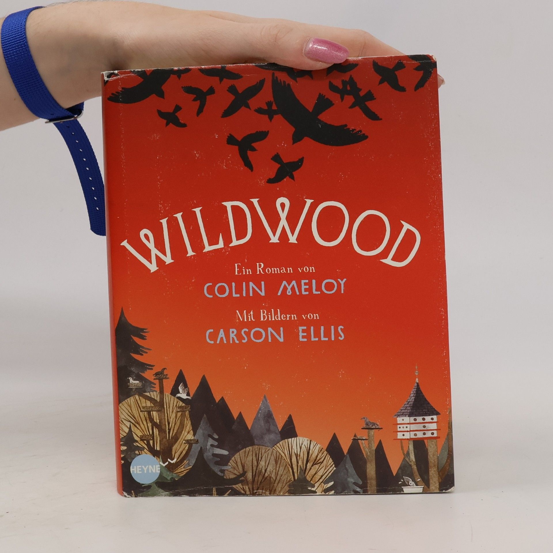 Colin Meloy Wildwood