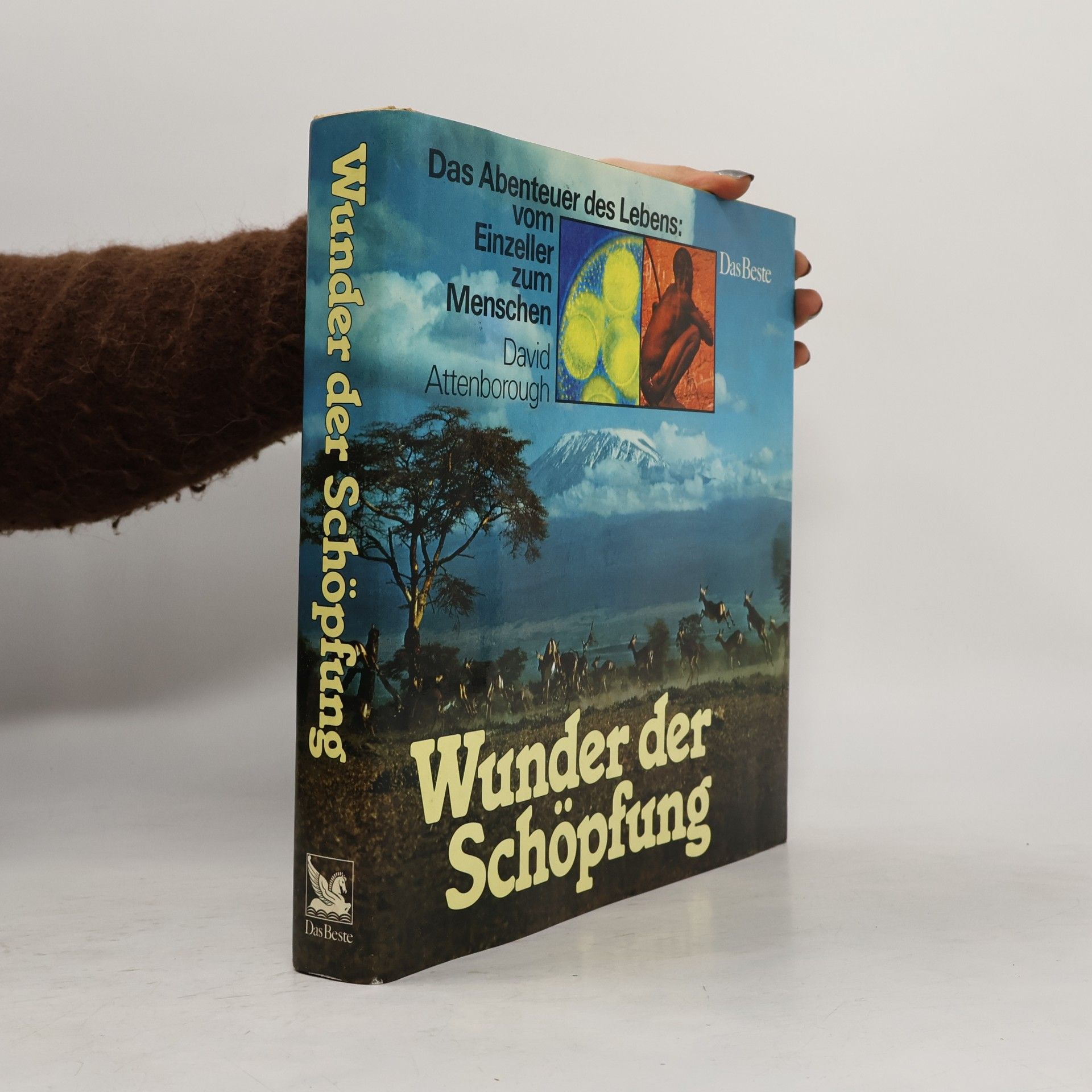 Wunder der Schöpfung