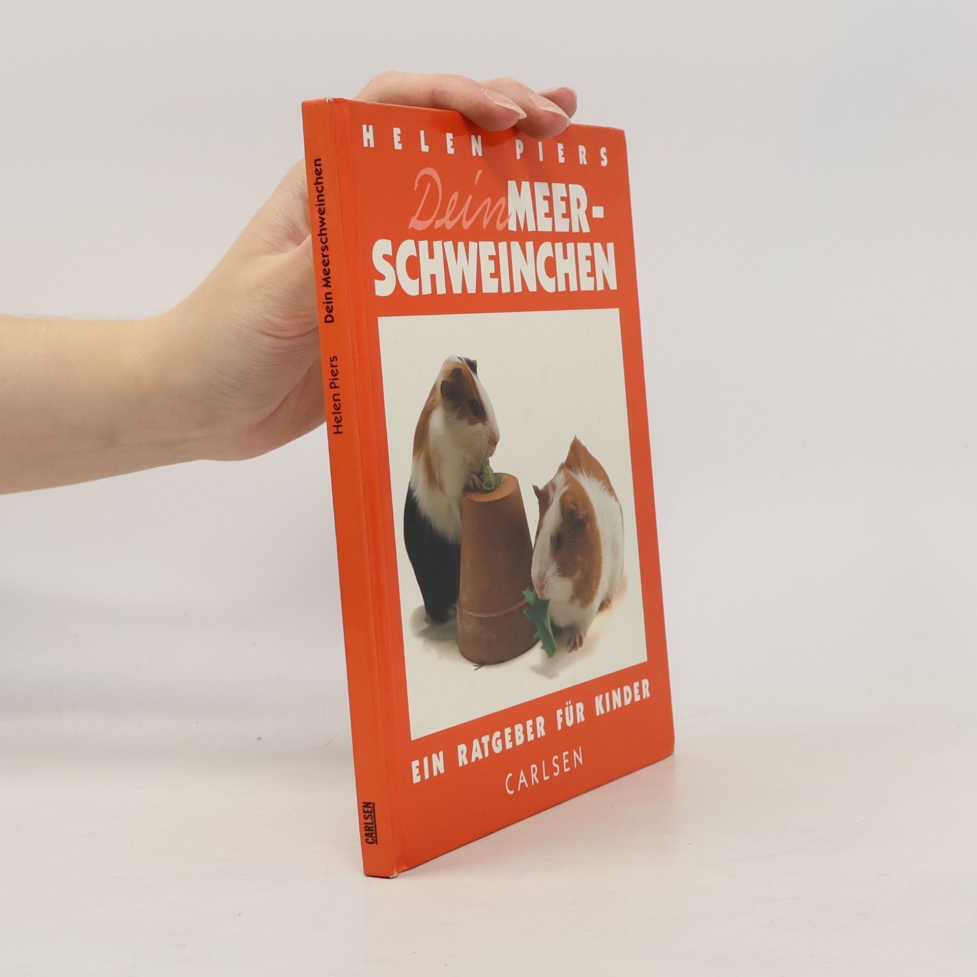 Dein Meerschweinchen