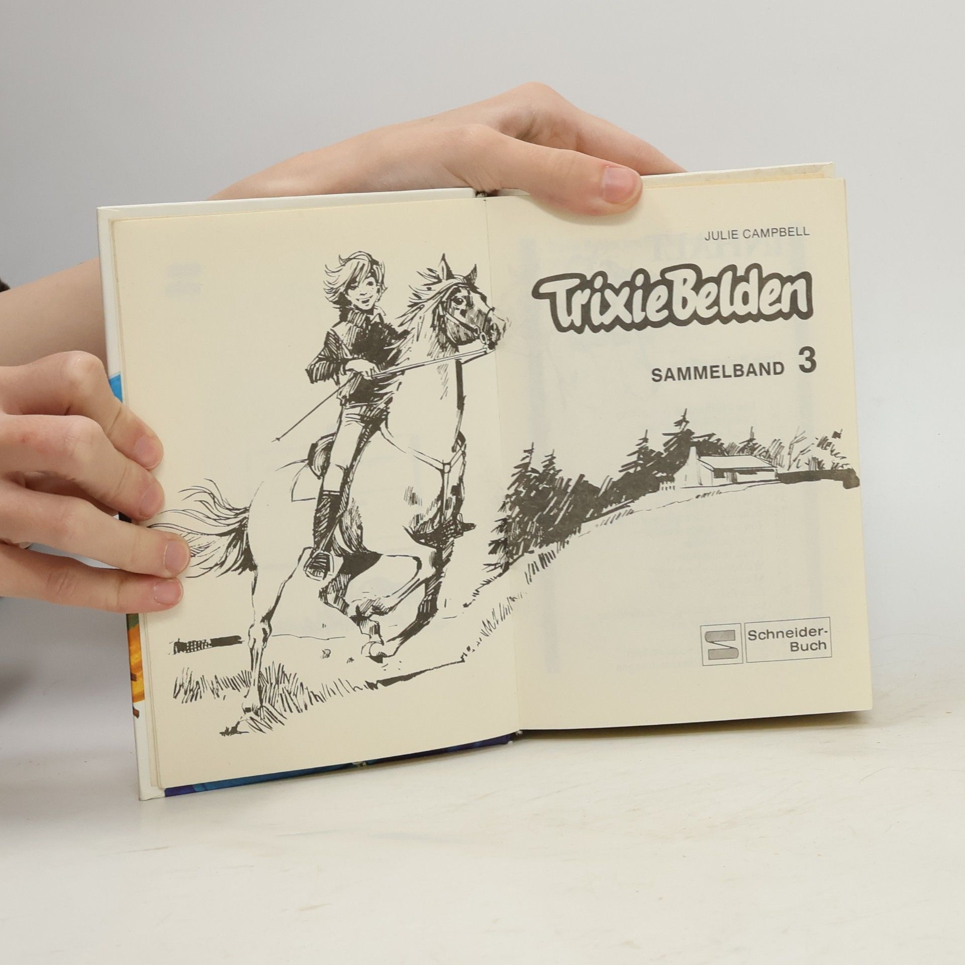 Julie Campbell Trixie Belden. Sammelband 3