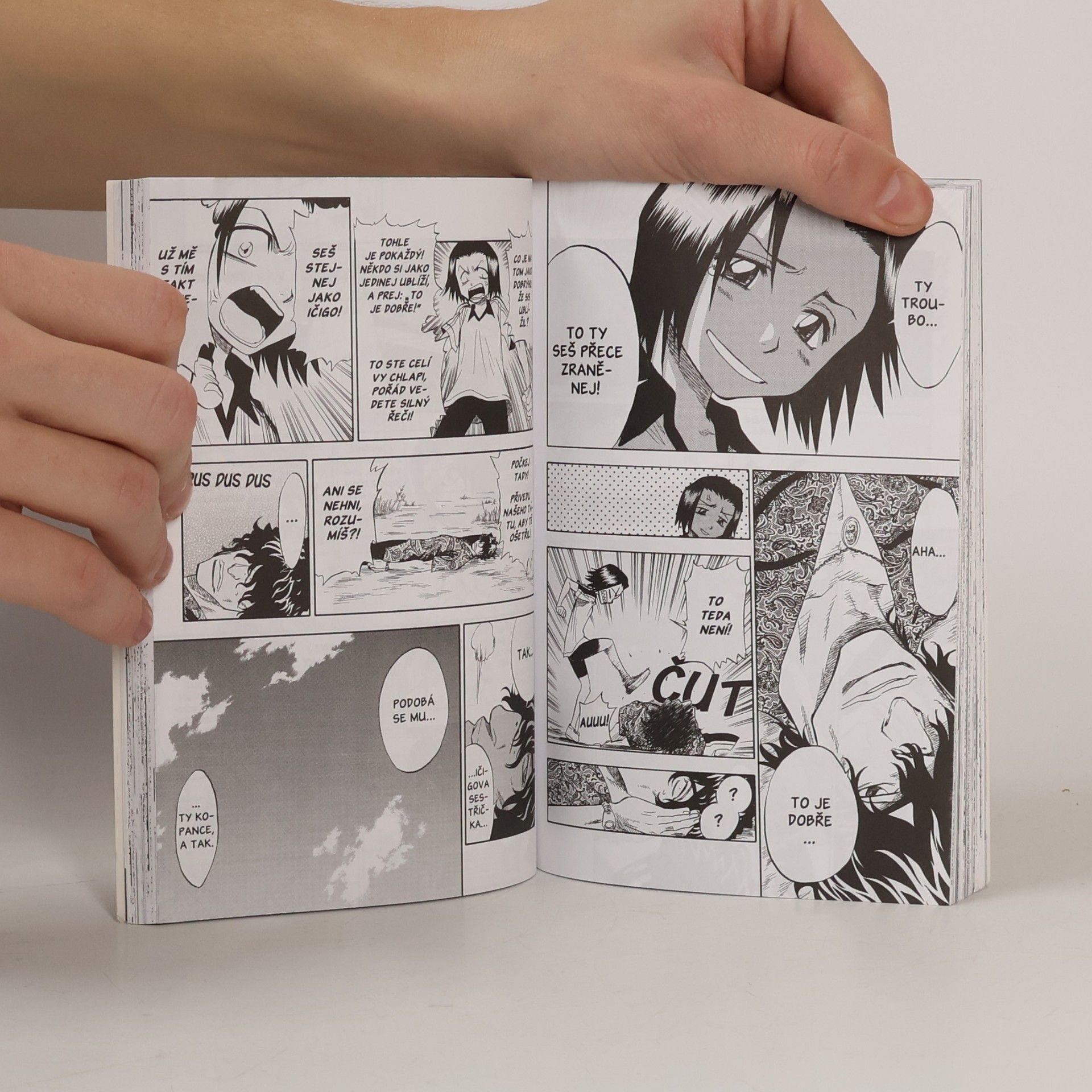 Tite Kubo Bleach. 5, Rightarm of the giant. česky