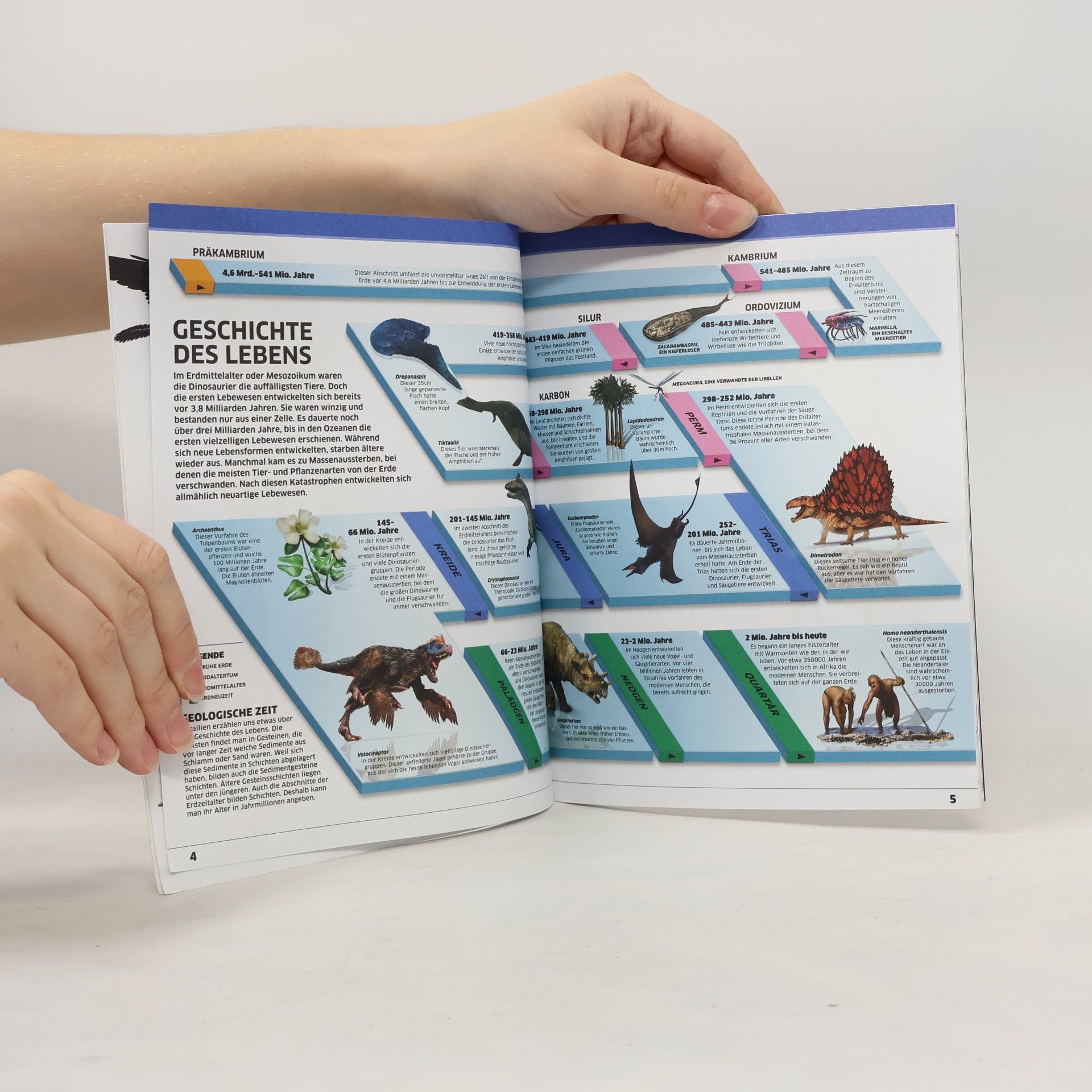 kolektiv Dinosaurier