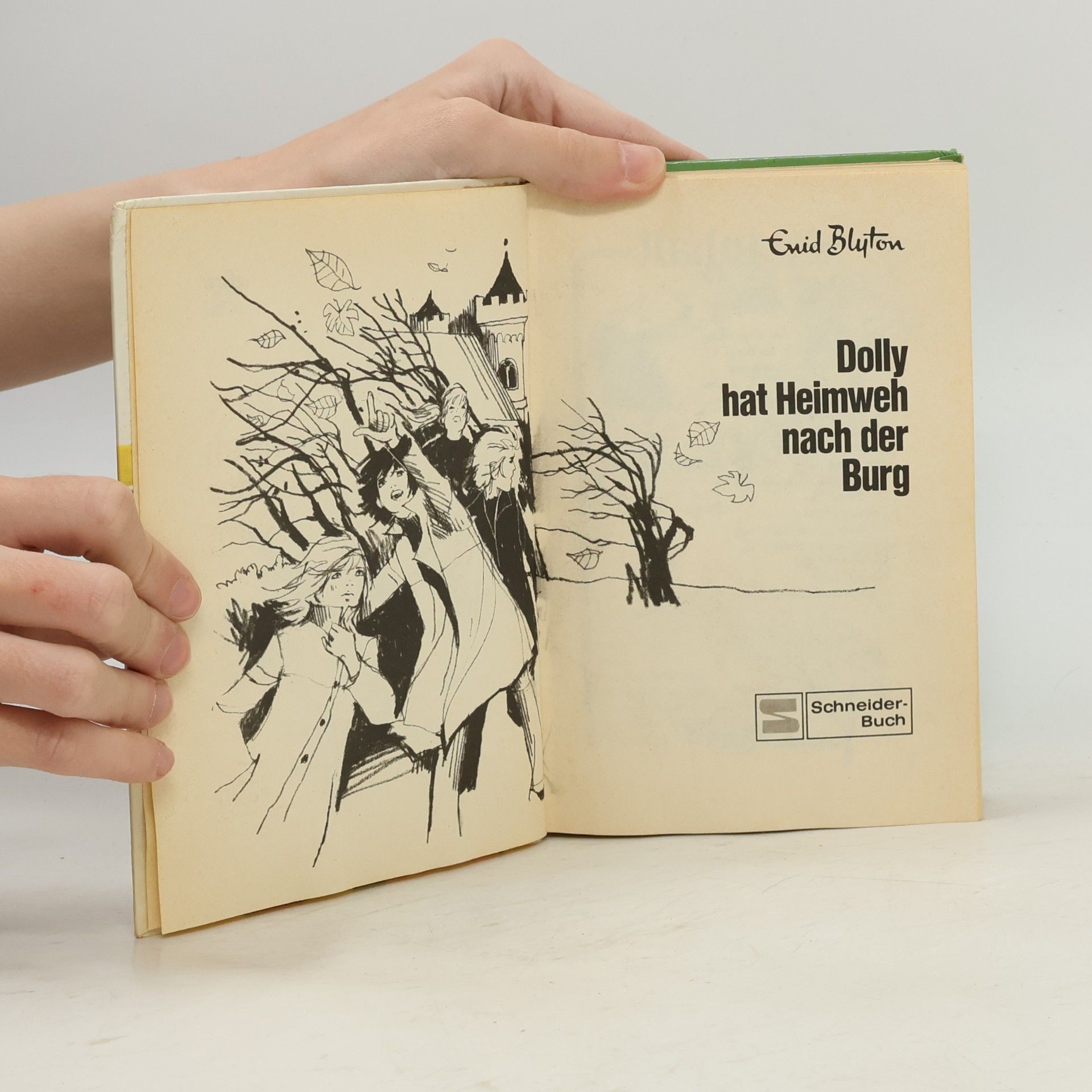 Enid Blyton Dolly hat Heimweh nach der Burg
