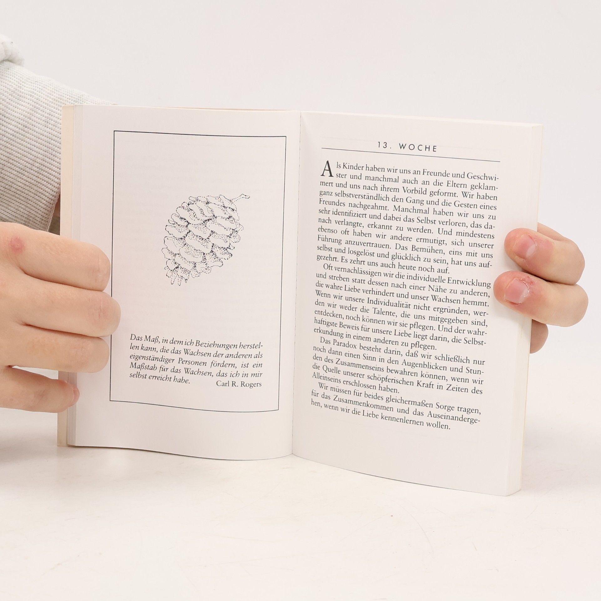 Karen Casey Das Buch der Liebe