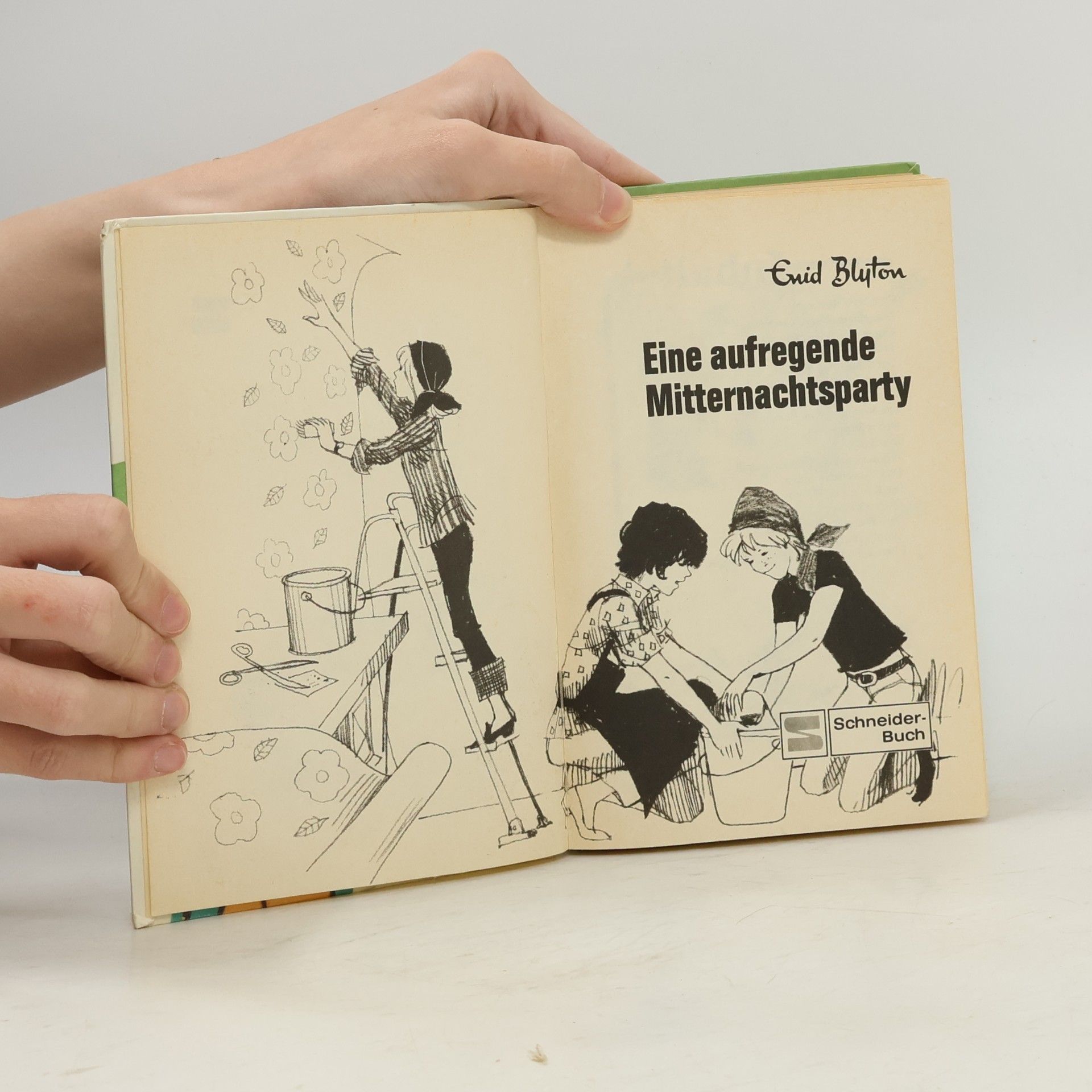 Enid Blyton Eine aufregende Mitternachtsparty