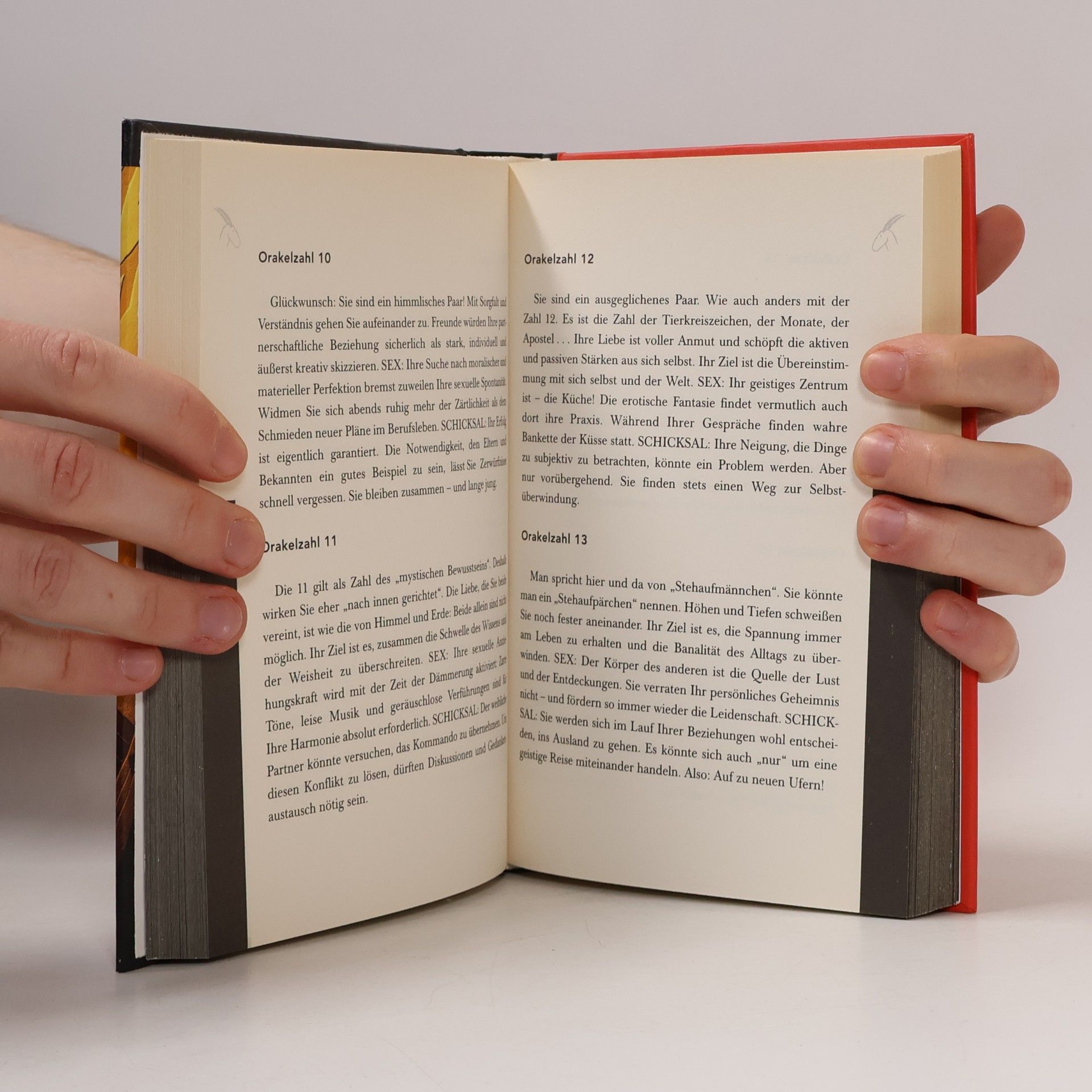 Autorenkollektiv Steinbock. Ihr Schicksal im beginnend en 3. Jahrtausend