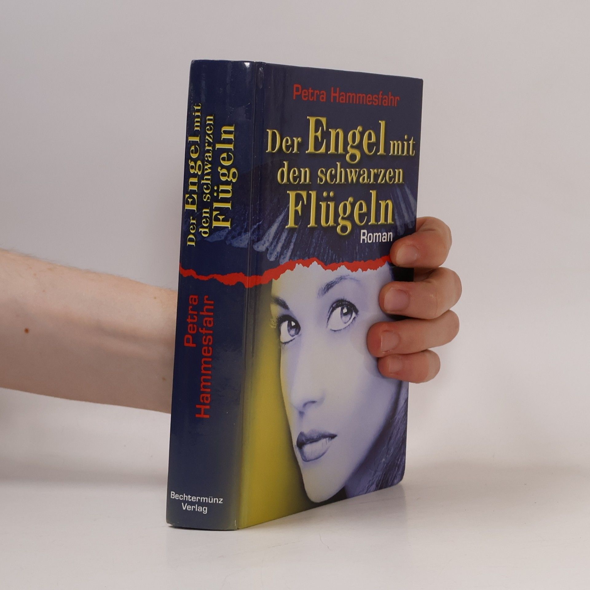 Petra Hammesfahr Der Engel mit den schwarzen Flügeln