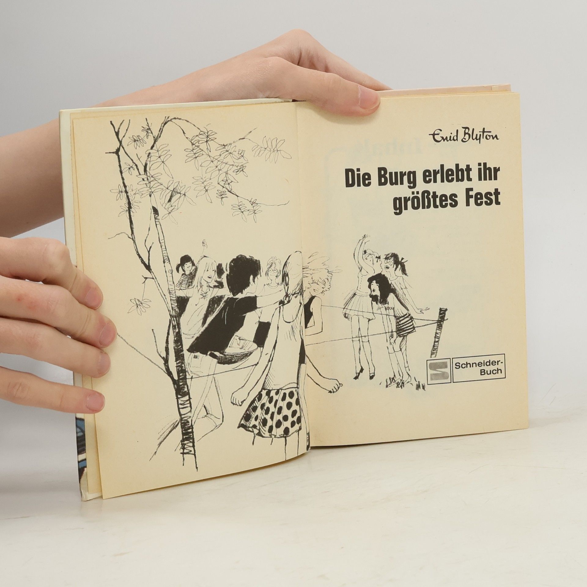 Enid Blyton Dolly 9. Die Burg erlebt ihr größtes Fest