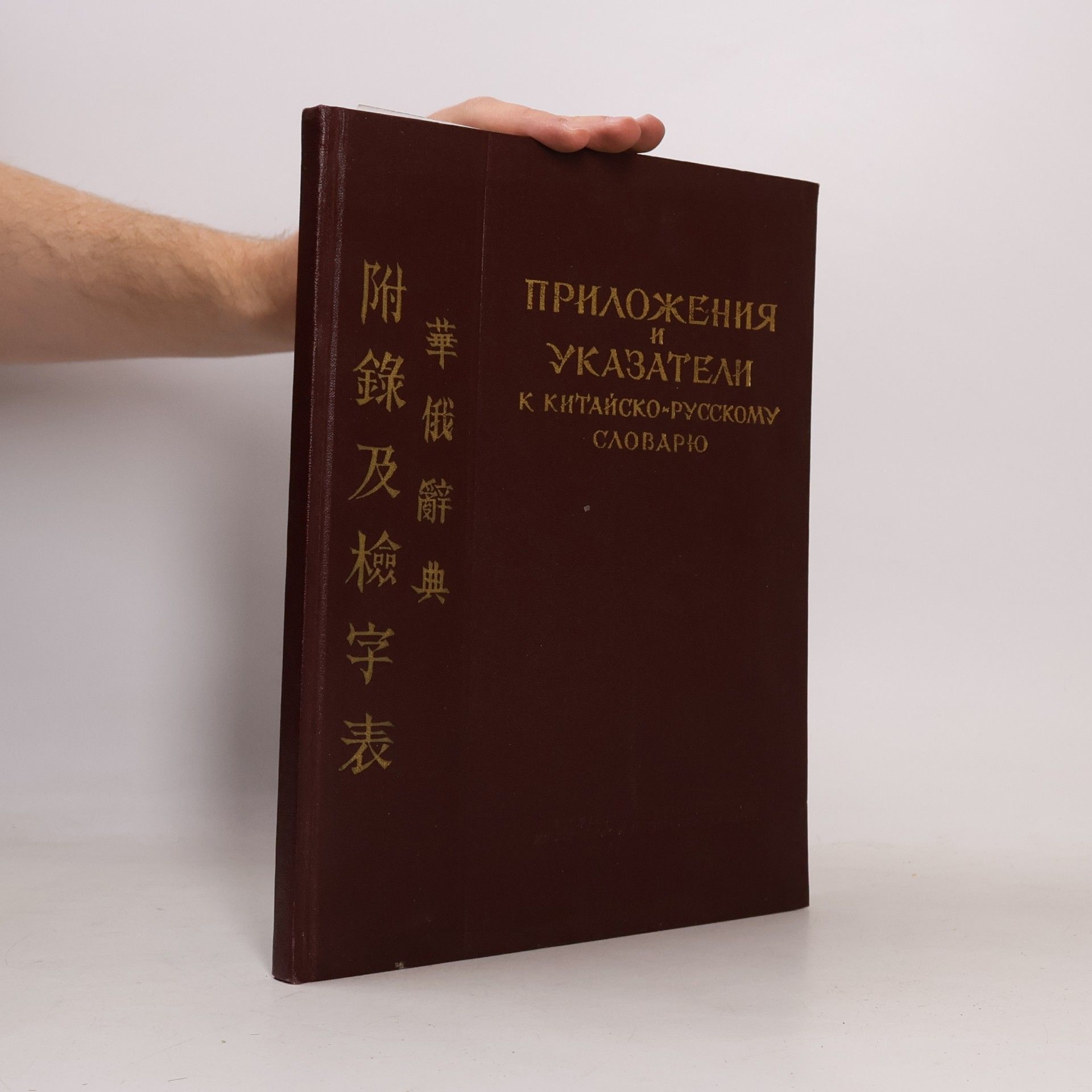 Kolektív autorov Приложения и указатели к Китайско-русскому словарю