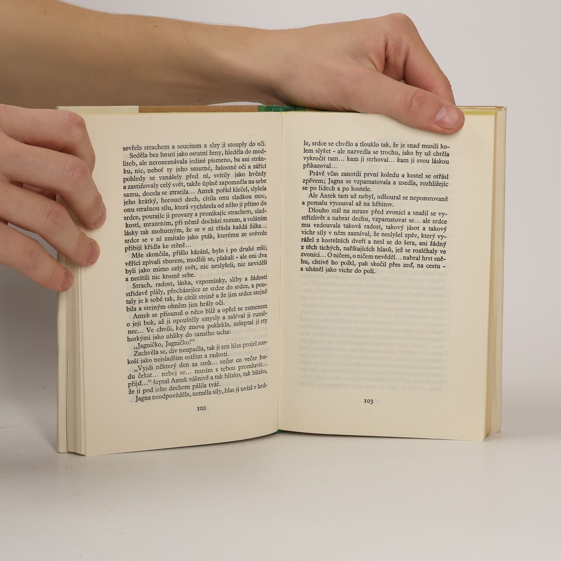 Władysław Stanisław Reymont Sedláci II, Zima