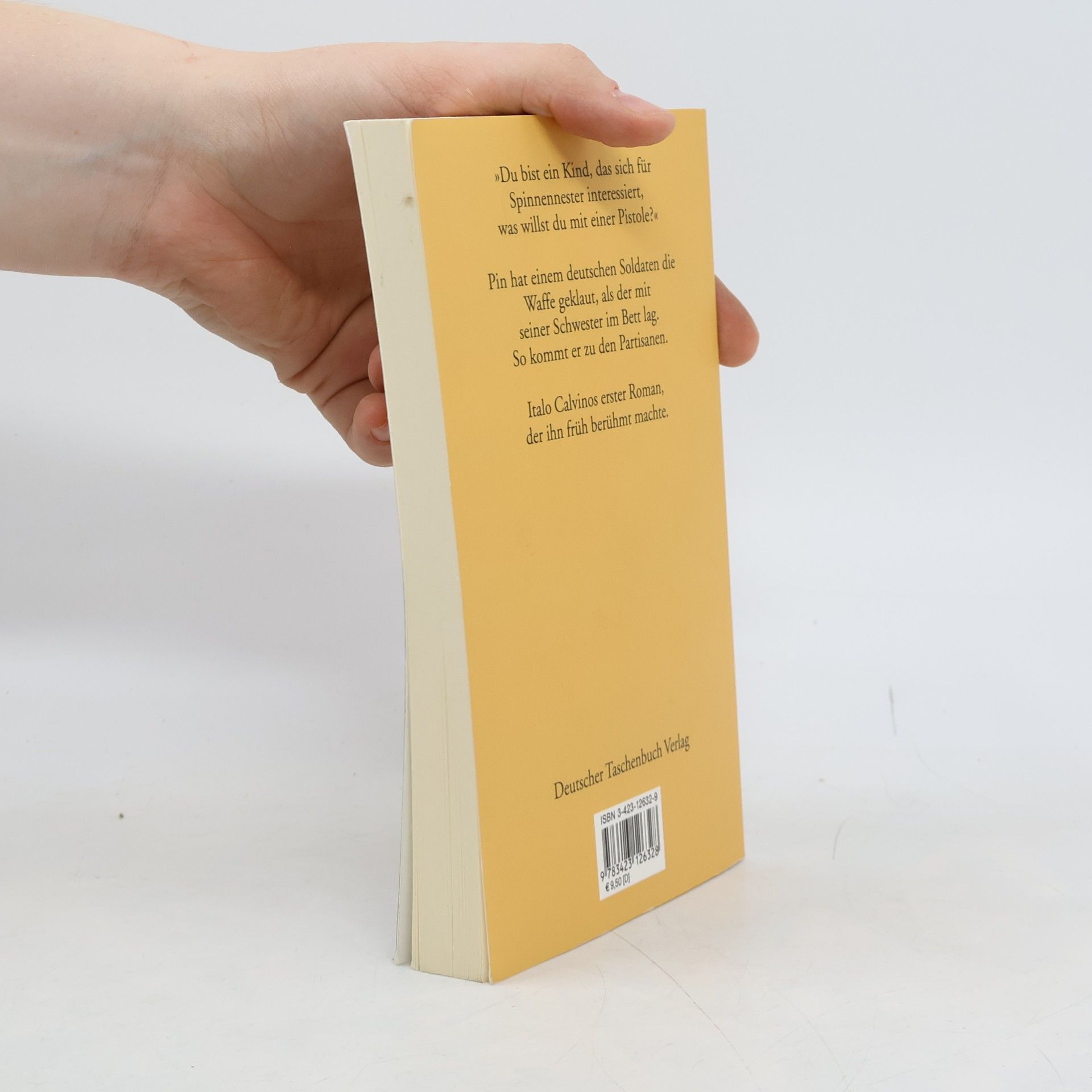 Italo Calvino Wo Spinnen ihre Nester bauen