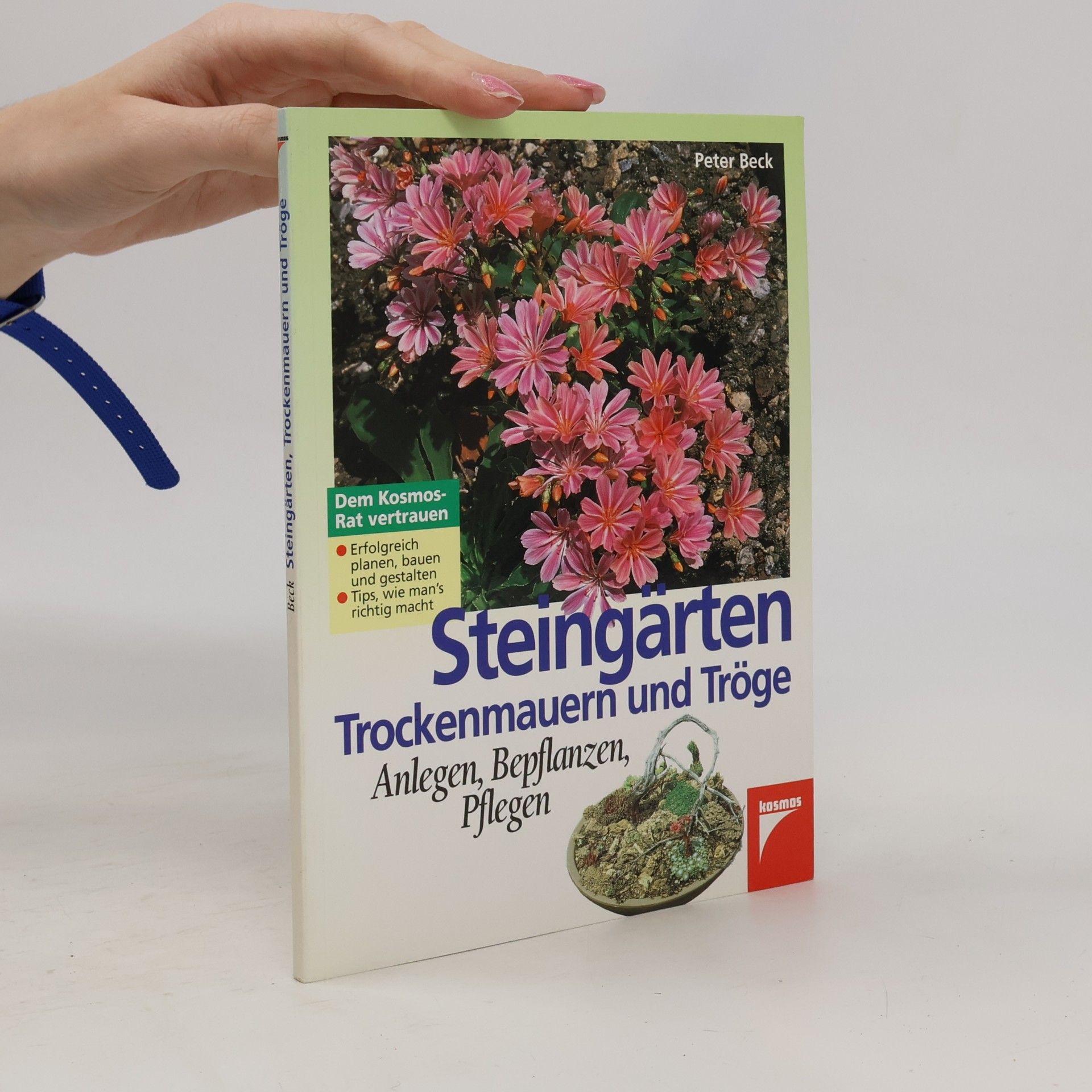 Steingärten, Trockenmauern und Tröge