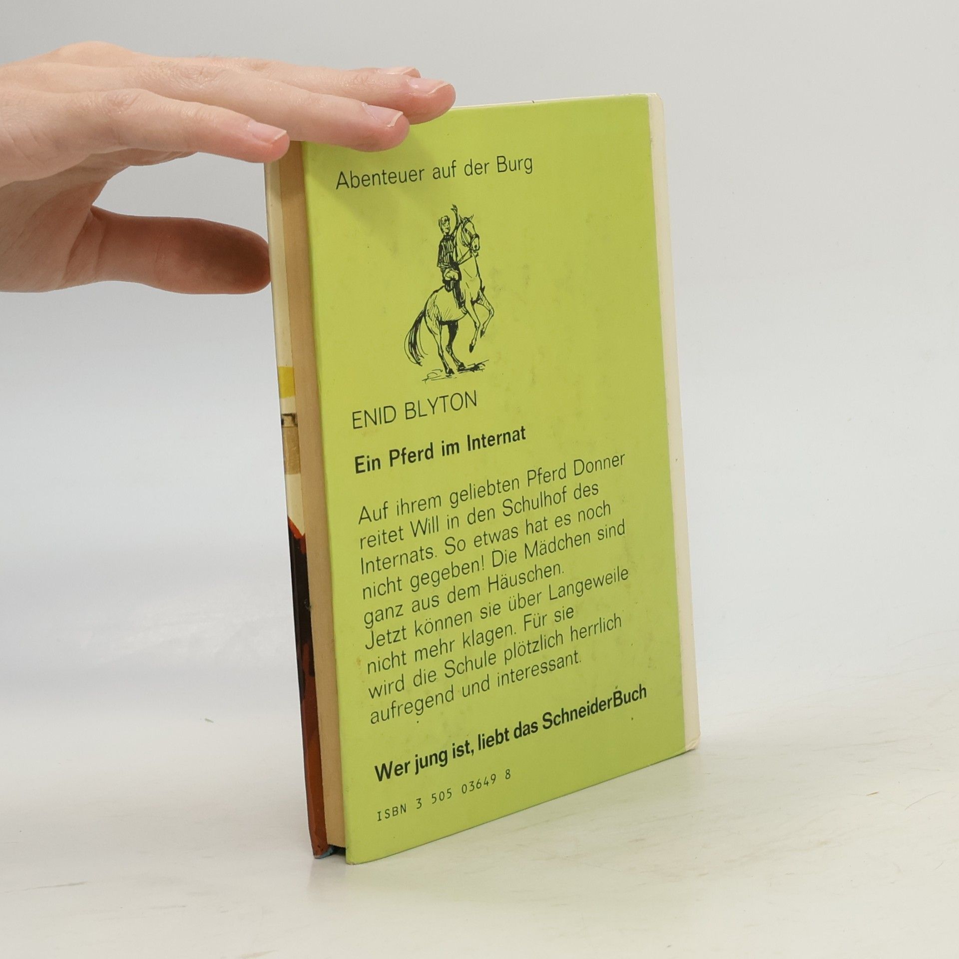 Enid Blyton Dolly Ein Pferd Im Internat