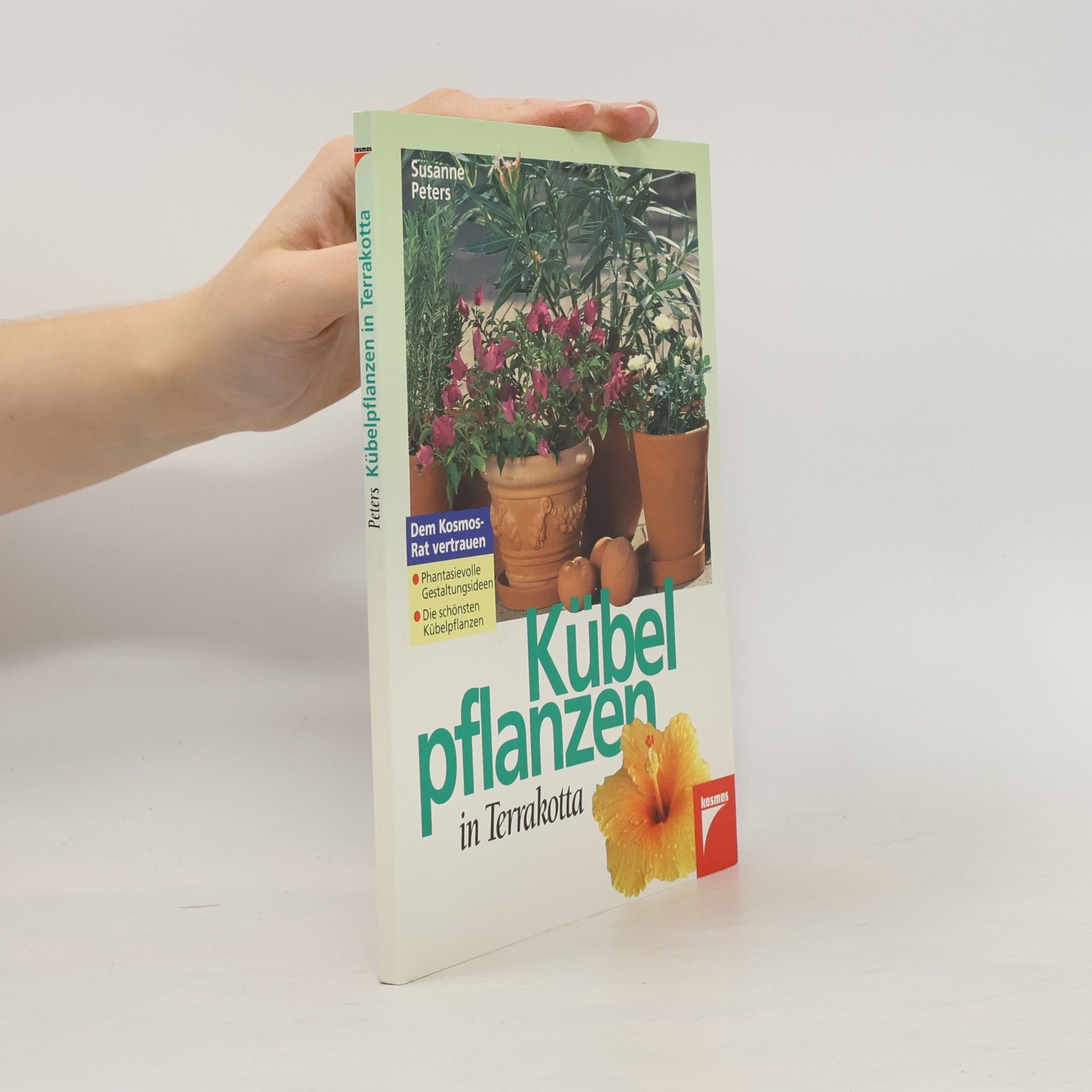 Kübelpflanzen in Terrakotta