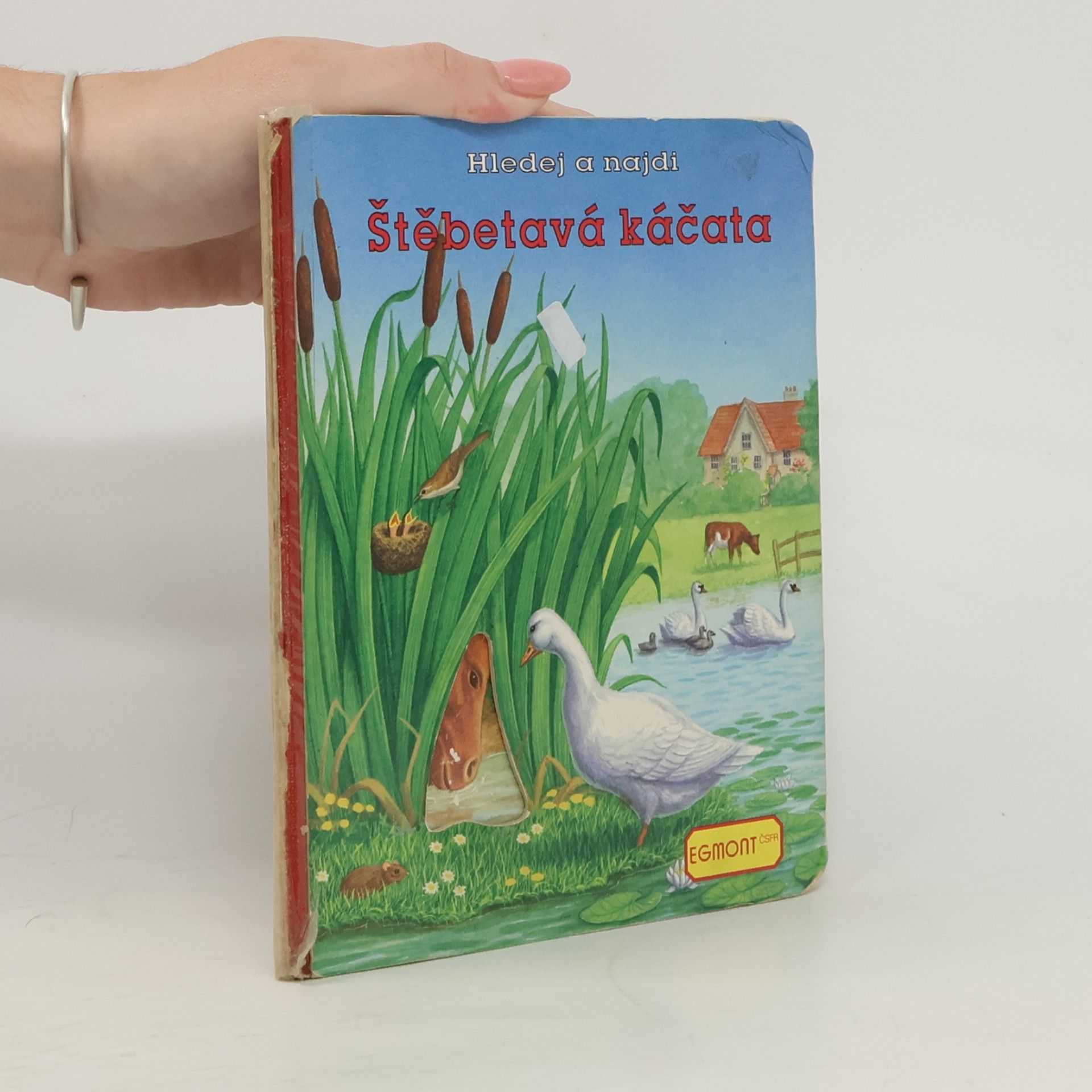 kolektiv Štěbetavá káčata