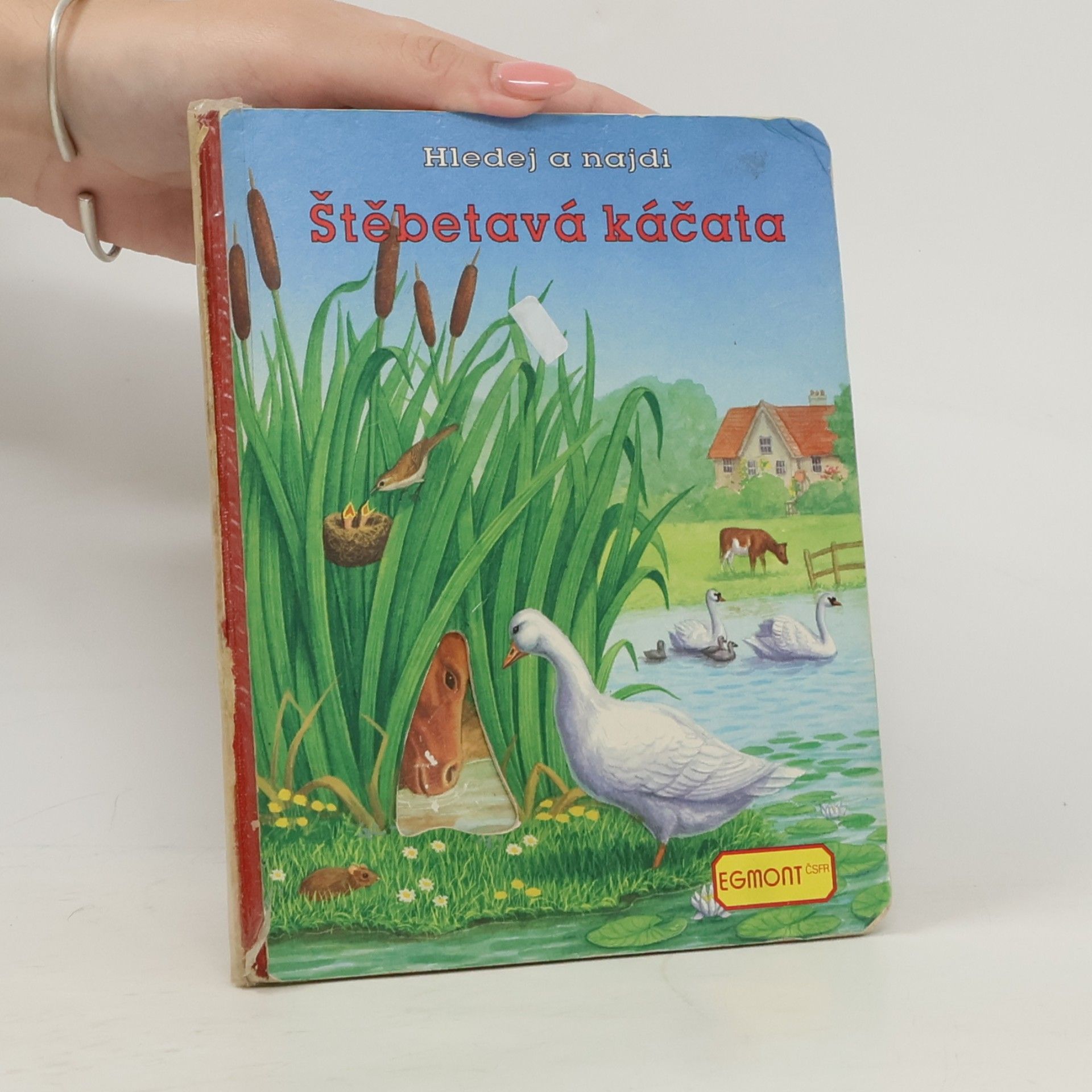 kolektiv Štěbetavá káčata