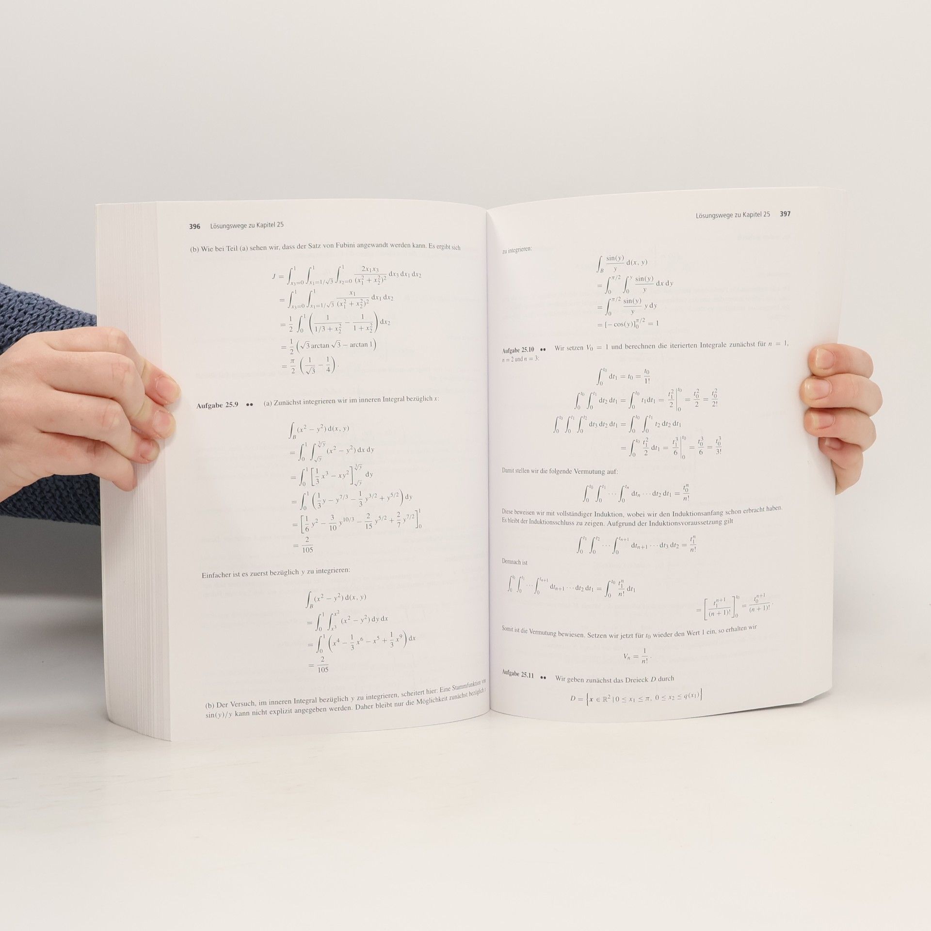 Tilo Arens Arbeitsbuch Mathematik