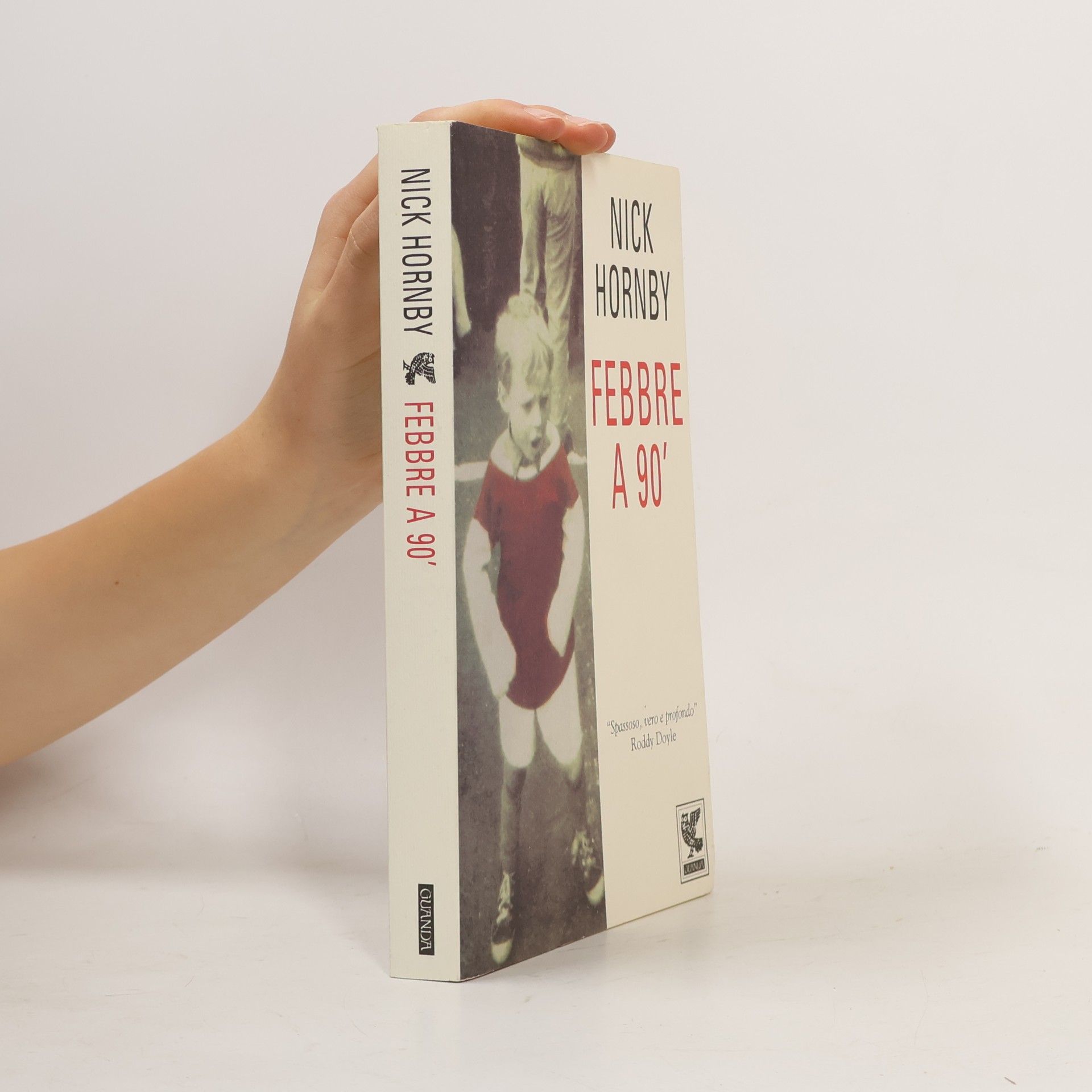 Nick Hornby Febbre a 90'