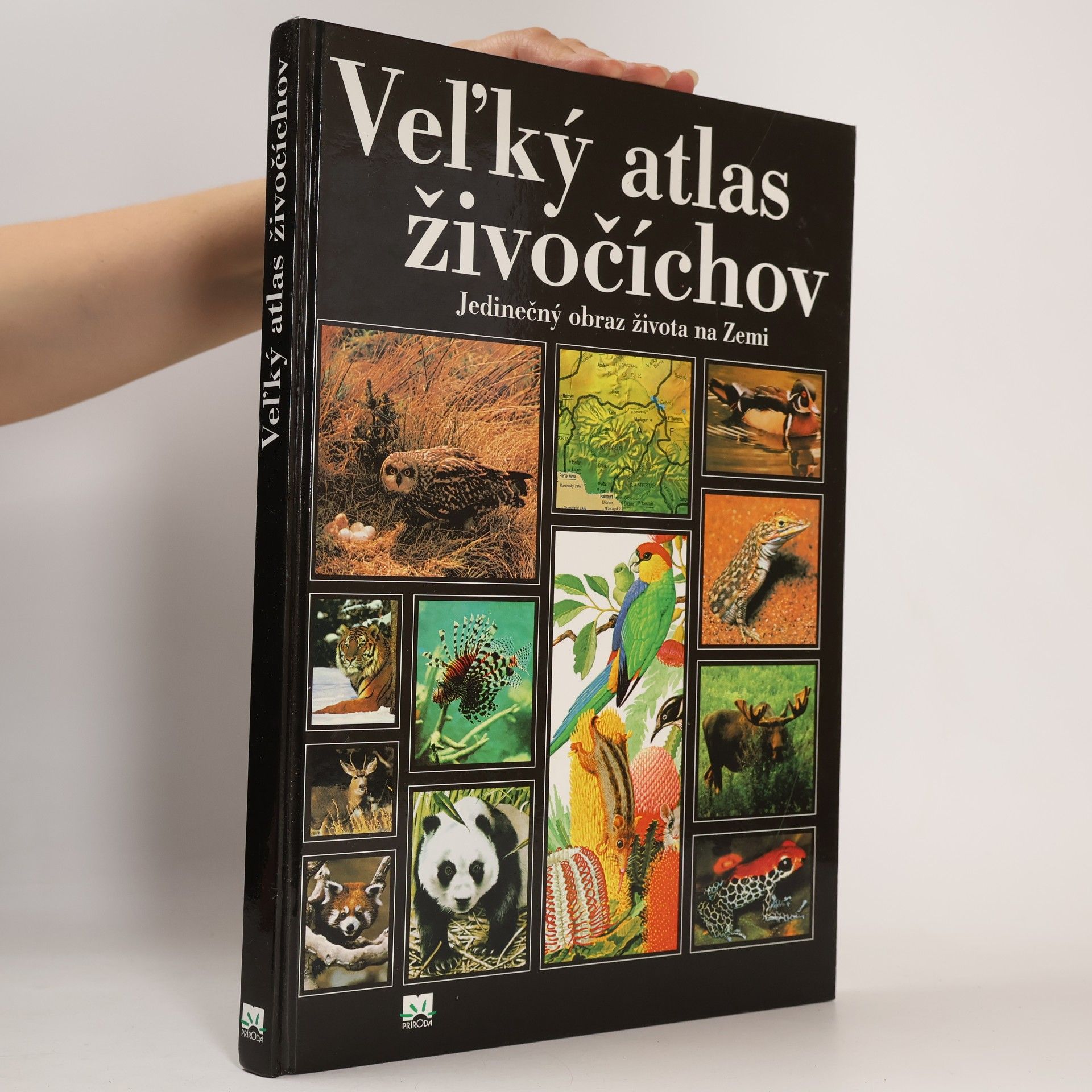 Autorenkollektiv Veľký atlas živočíchov. Jedinečný obraz života na Zemi
