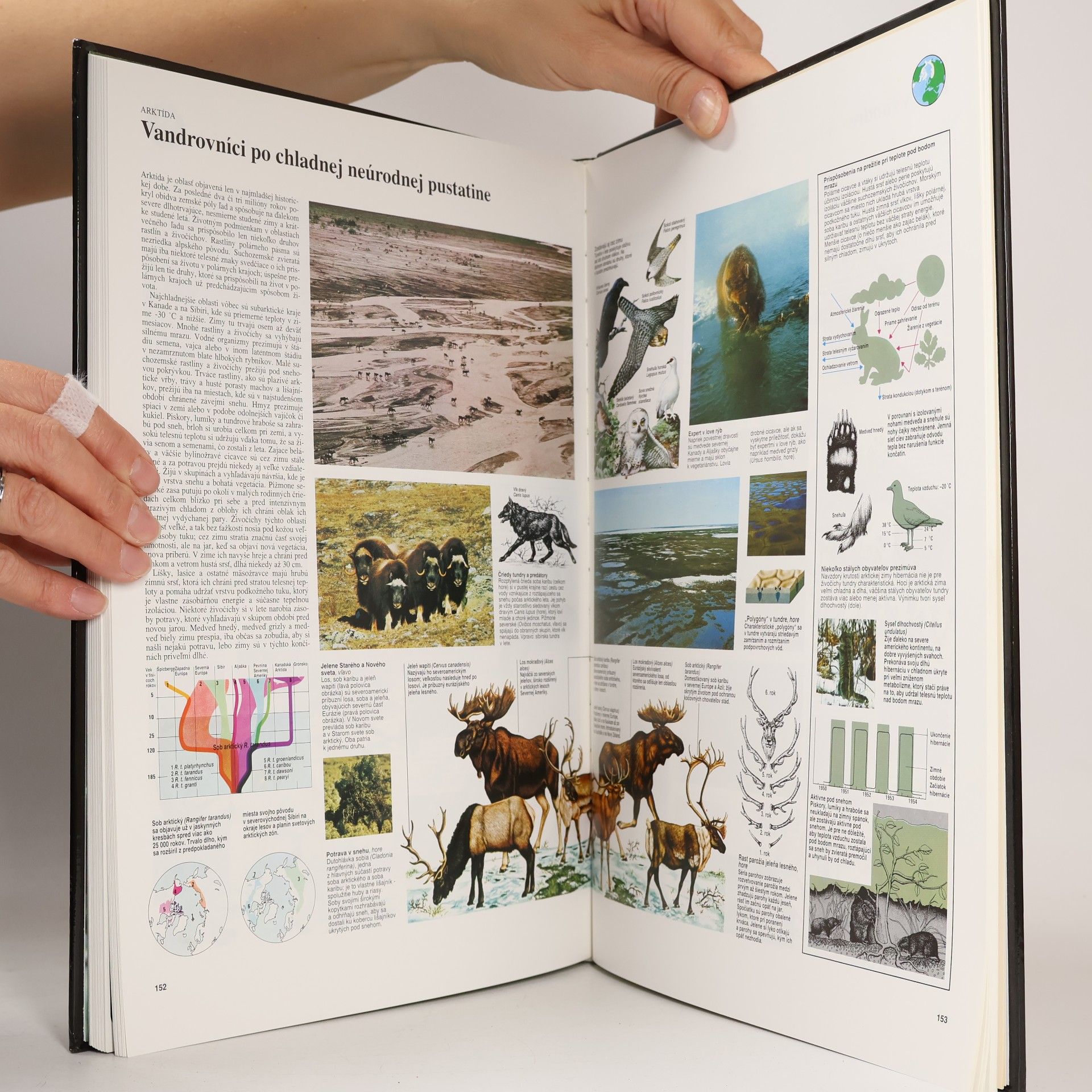 Autorenkollektiv Veľký atlas živočíchov. Jedinečný obraz života na Zemi