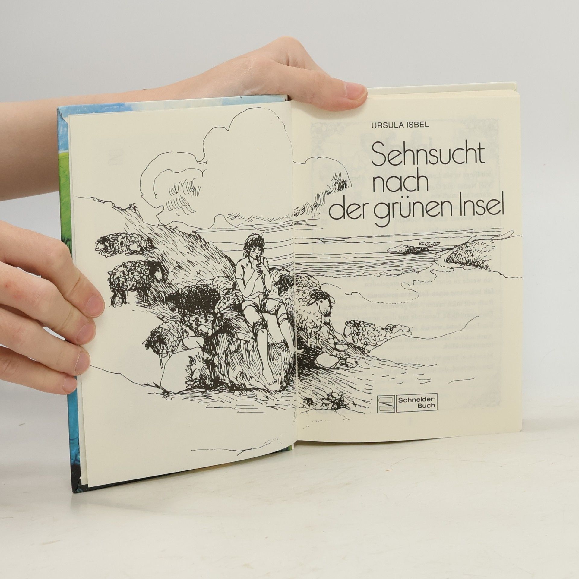 Ursula Isbel Sehnsucht nach der grünen Insel