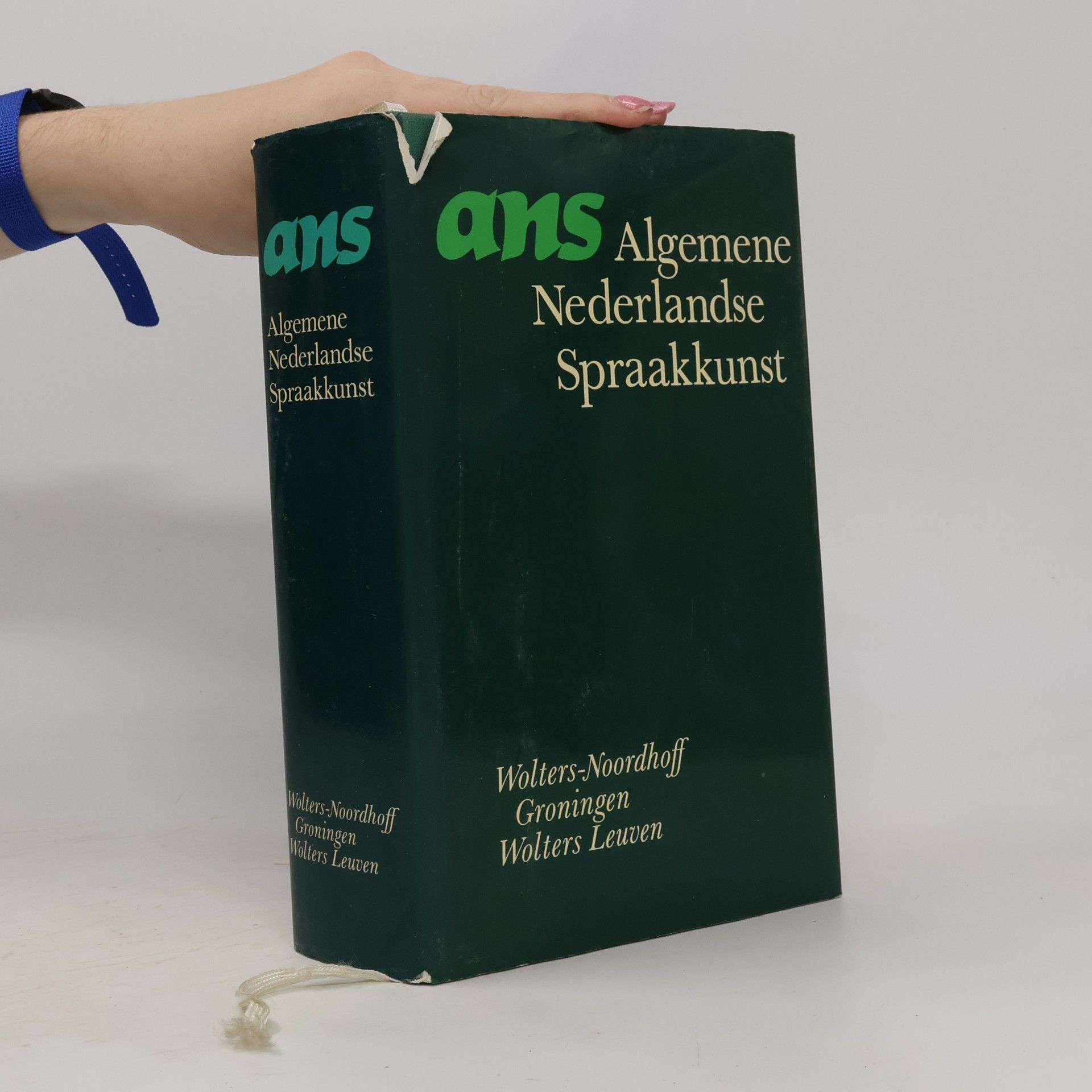 Guido Geerts Algemene Nederlandse spraakkunst